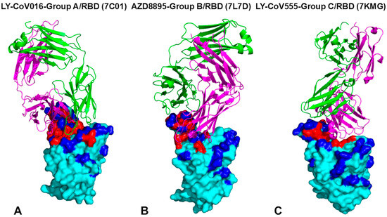 nabe190 MALFORMED / Confinement of＋3枚 Confinement of Flesh | Malformed | Dark Descent Records