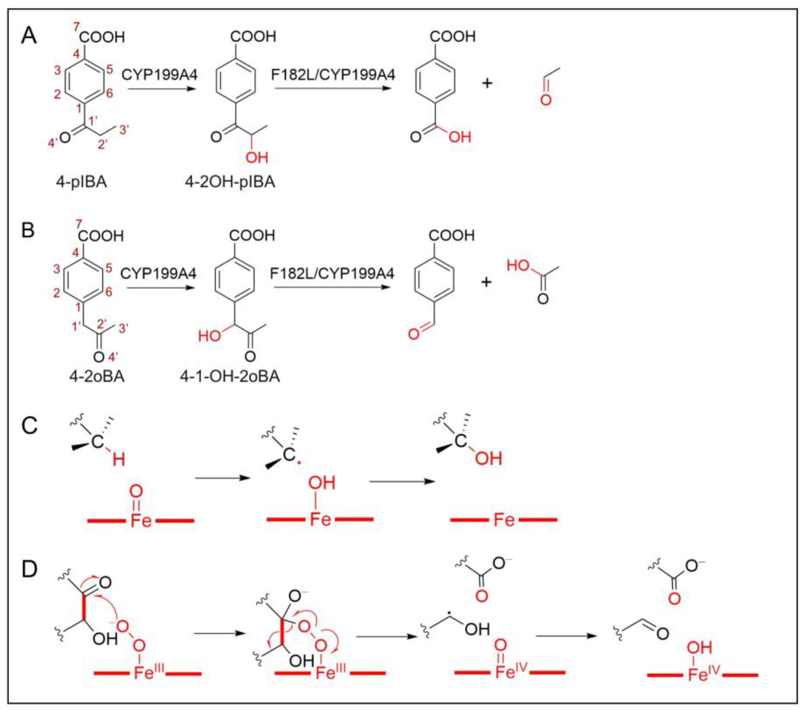 Ijms 26 01526 sch001