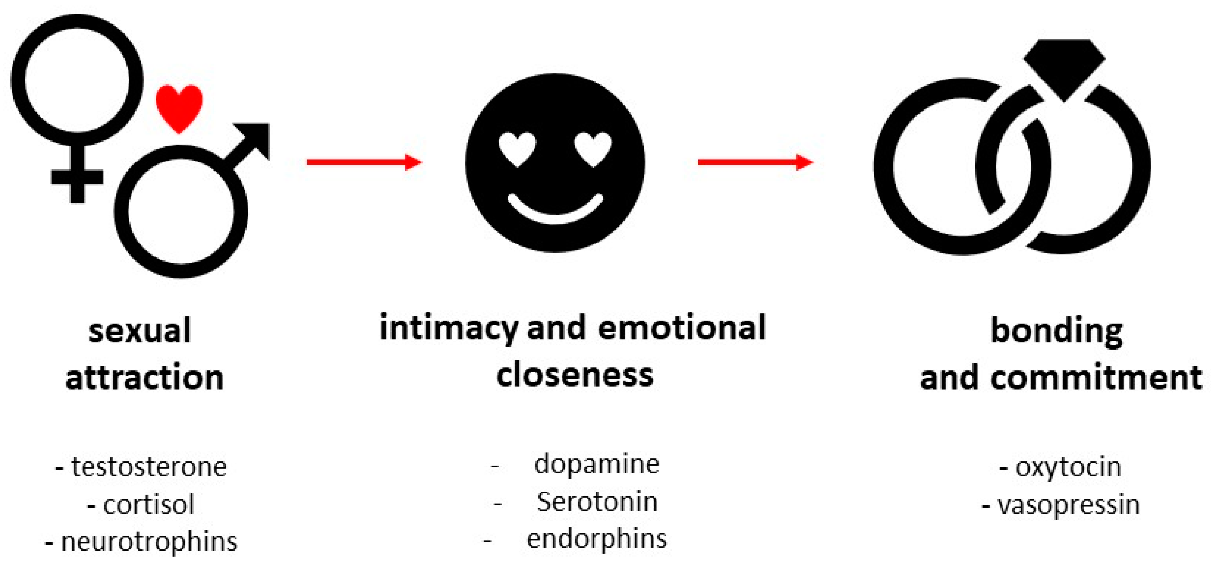 The Molecular Basis of Love