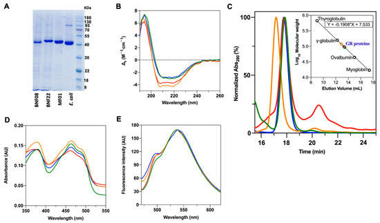 glutathione vitamin c iv drip Sirt3 Mediates Reduction of Oxidative Damage and Prevention of Age-Related  Hearing Loss under Caloric Restriction: Cell main image 1