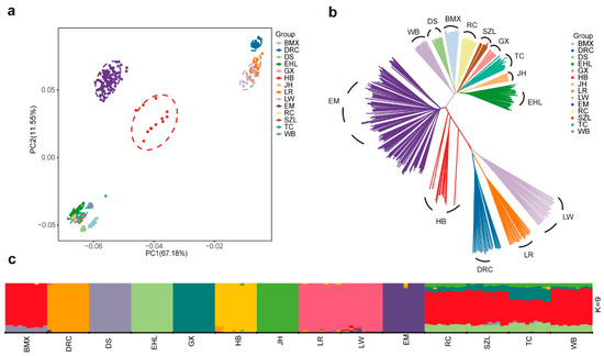 Integration of Multiomics Data Reveals Selection