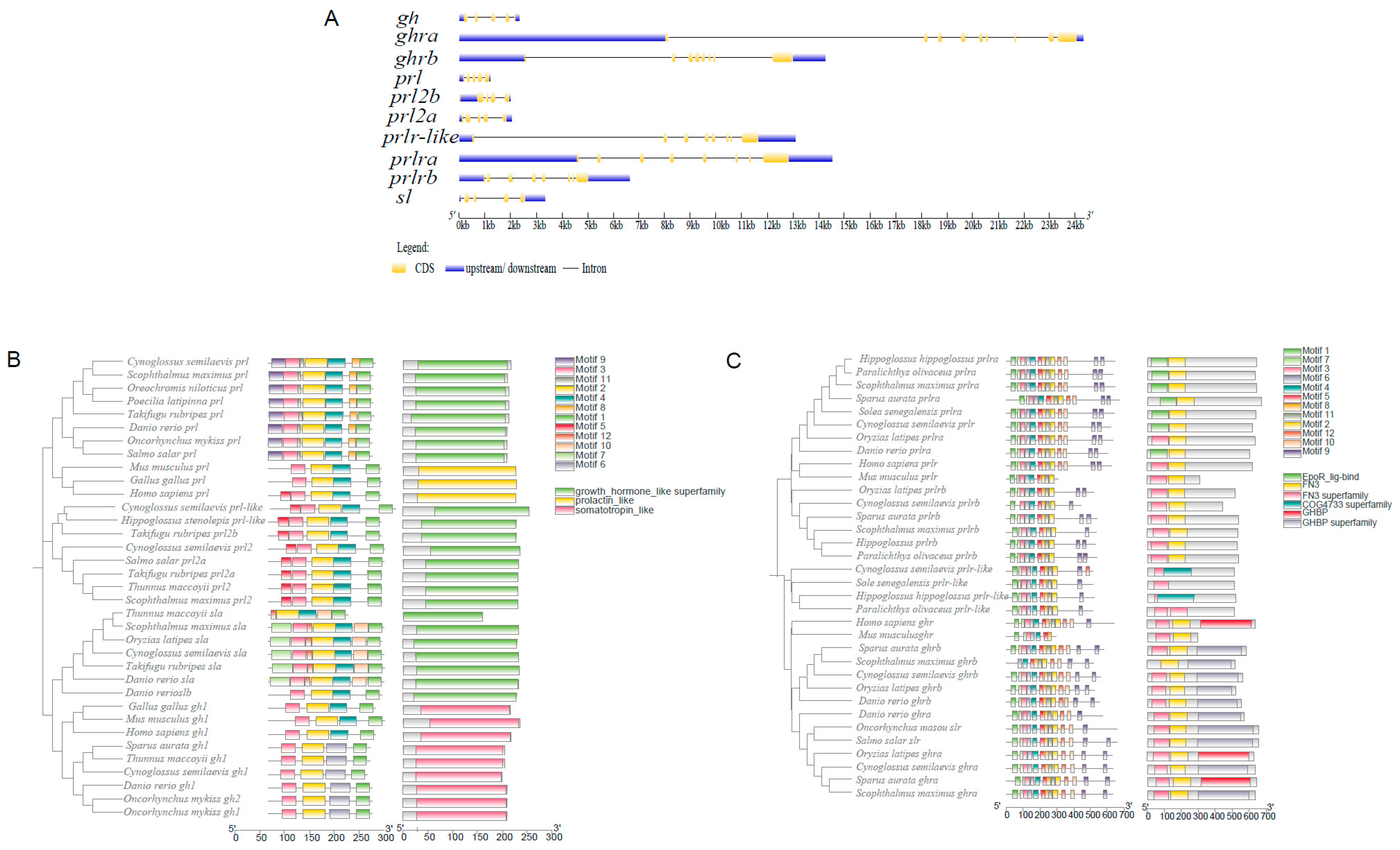 Ijms 26 01585 g002 Ijms 26 01585 g002