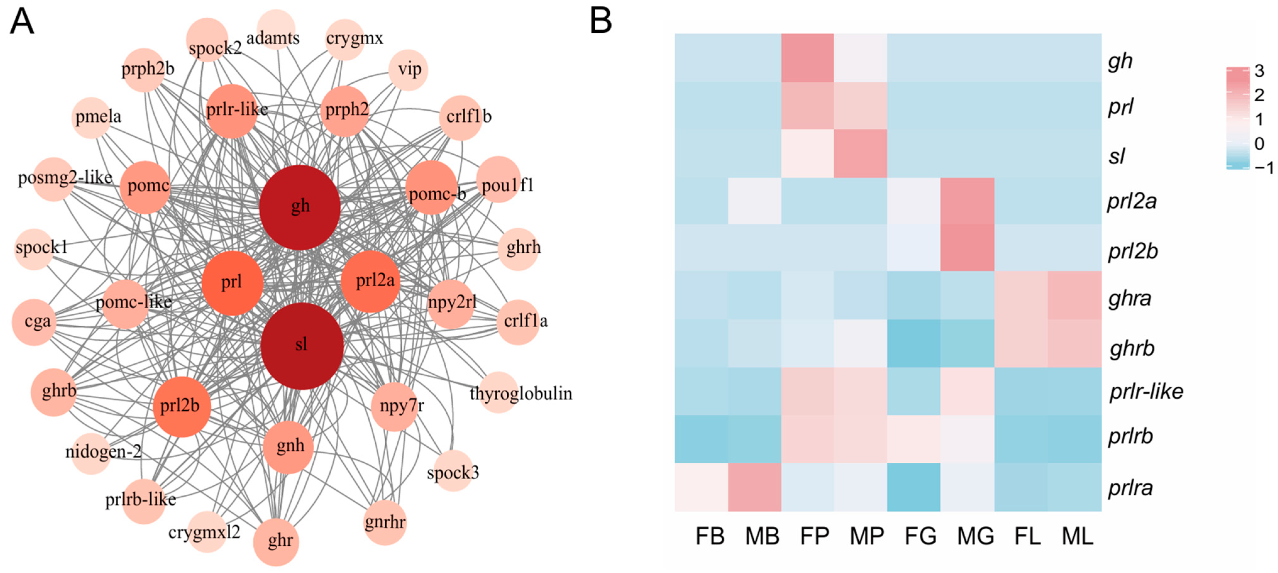 Ijms 26 01585 g003 Ijms 26 01585 g003