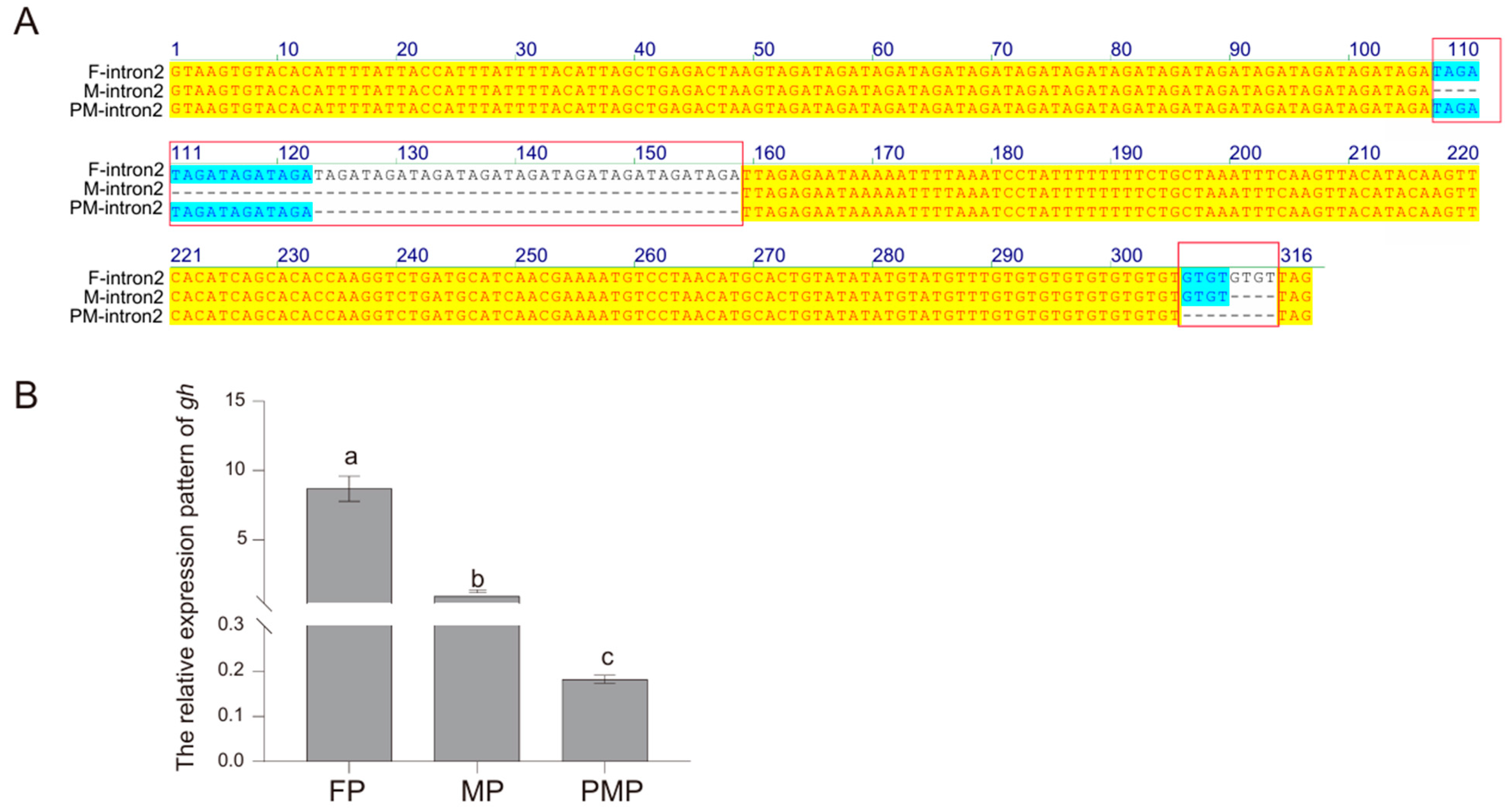 Ijms 26 01585 g005 Ijms 26 01585 g005