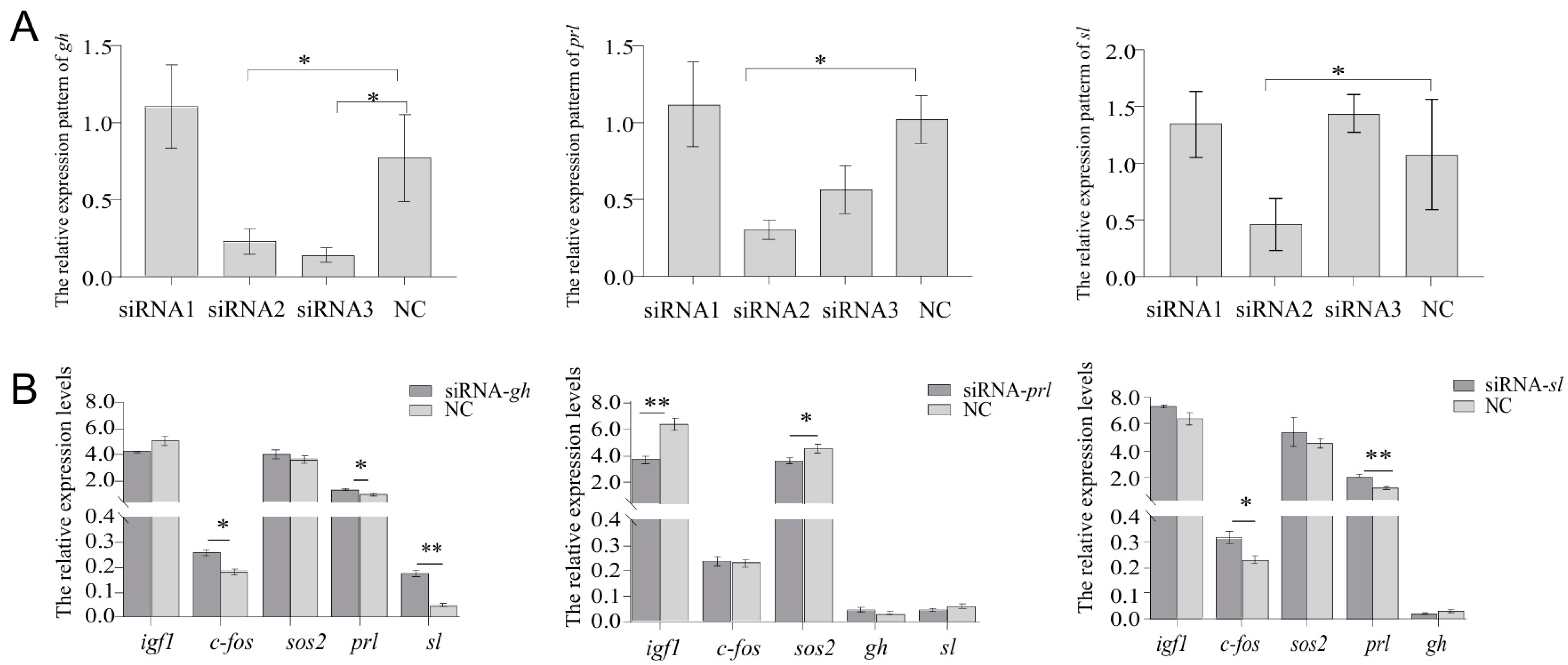 Ijms 26 01585 g006 Ijms 26 01585 g006