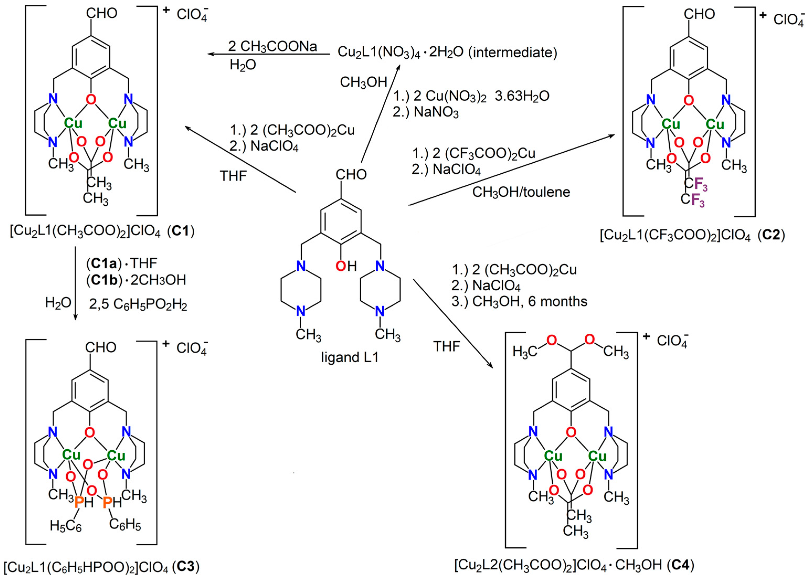 Ijms 26 01603 sch001