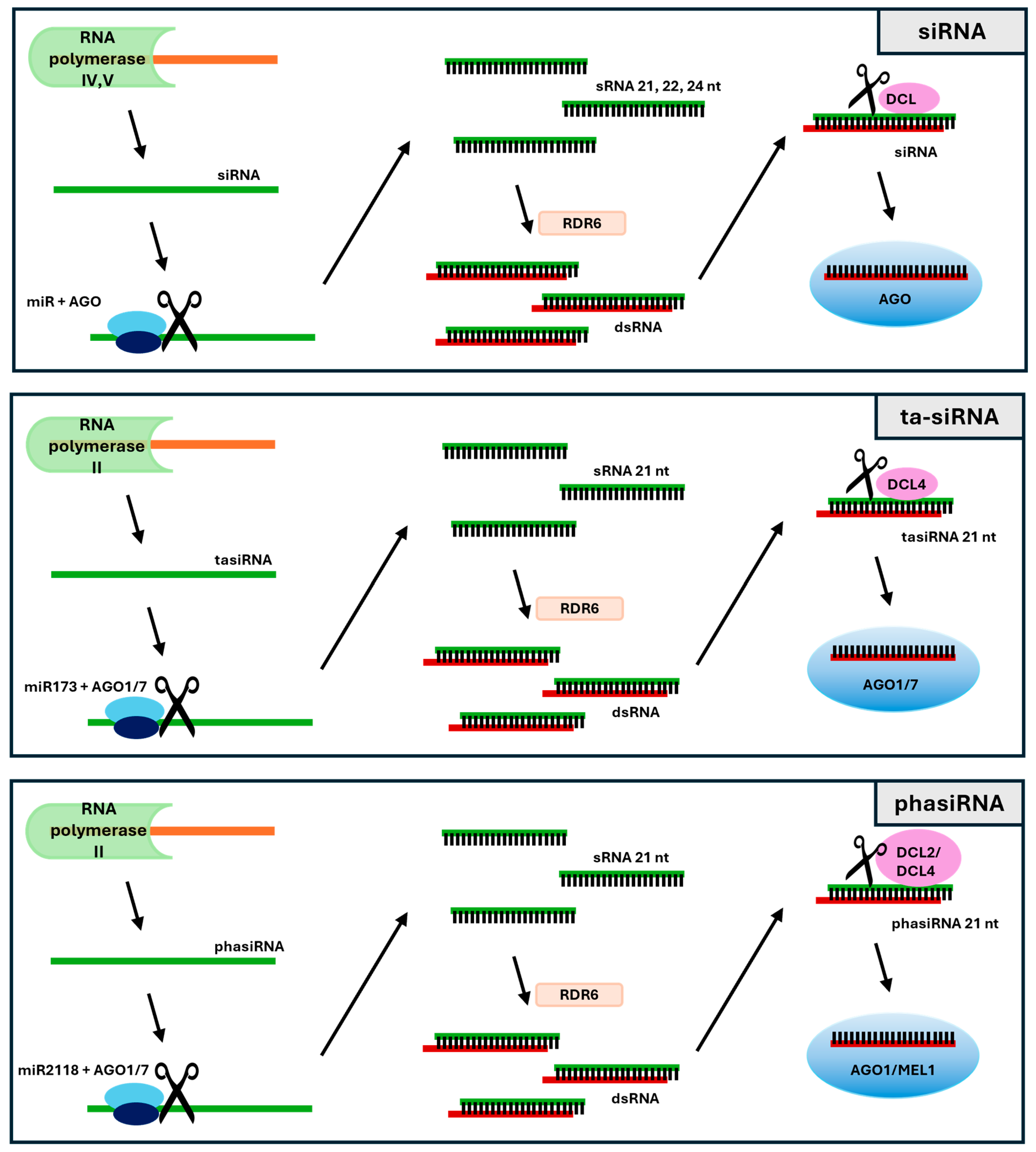 Ijms 26 01624 g002 Ijms 26 01624 g002