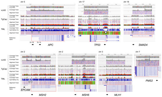 Integrated Analysis of Somatic DNA Variants and DNA Methylation of