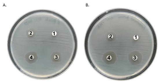 A Weapon Against Implant-Associated Infections