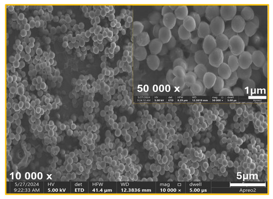 A Weapon Against Implant-Associated Infections