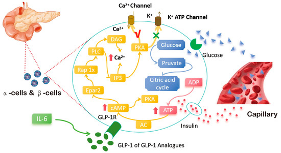 glutathione and glp 1 Liposomal Glutathione Supplement main image 1