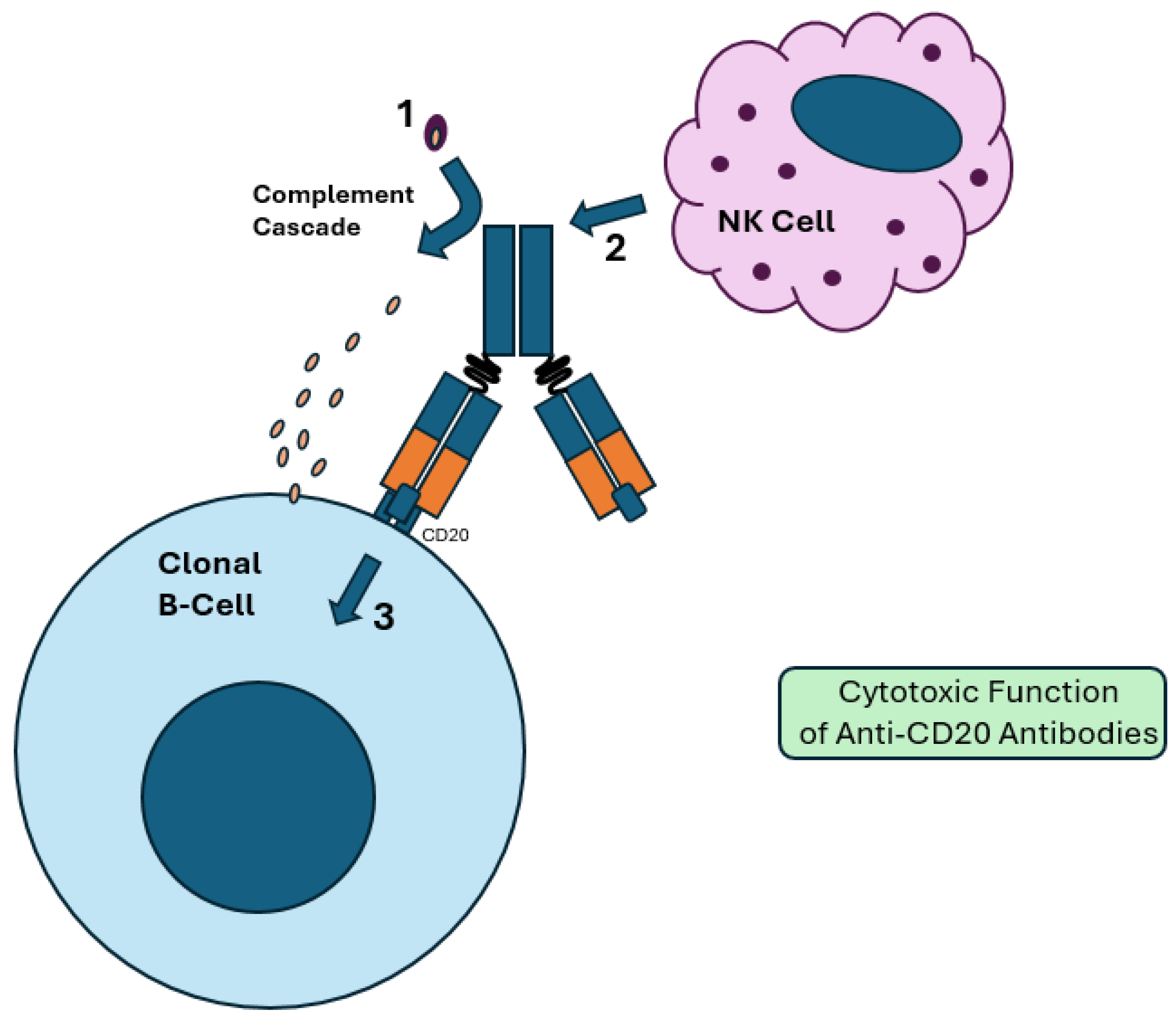 Ijms 26 01711 g002 Ijms 26 01711 g002