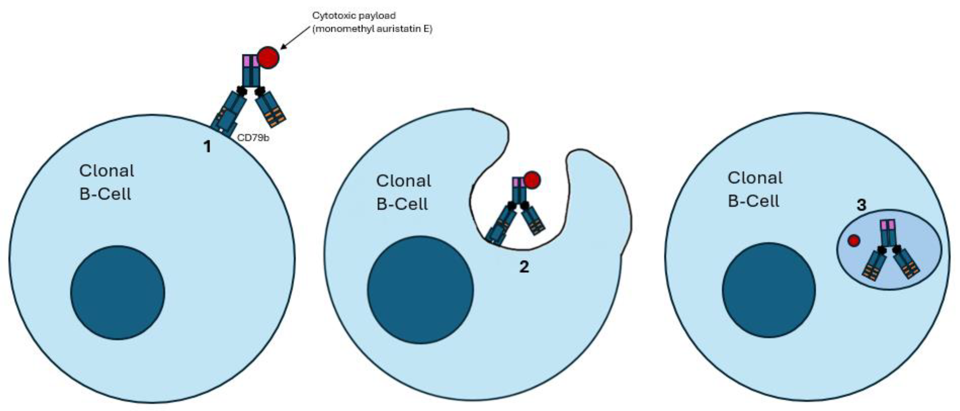 Ijms 26 01711 g003 Ijms 26 01711 g003