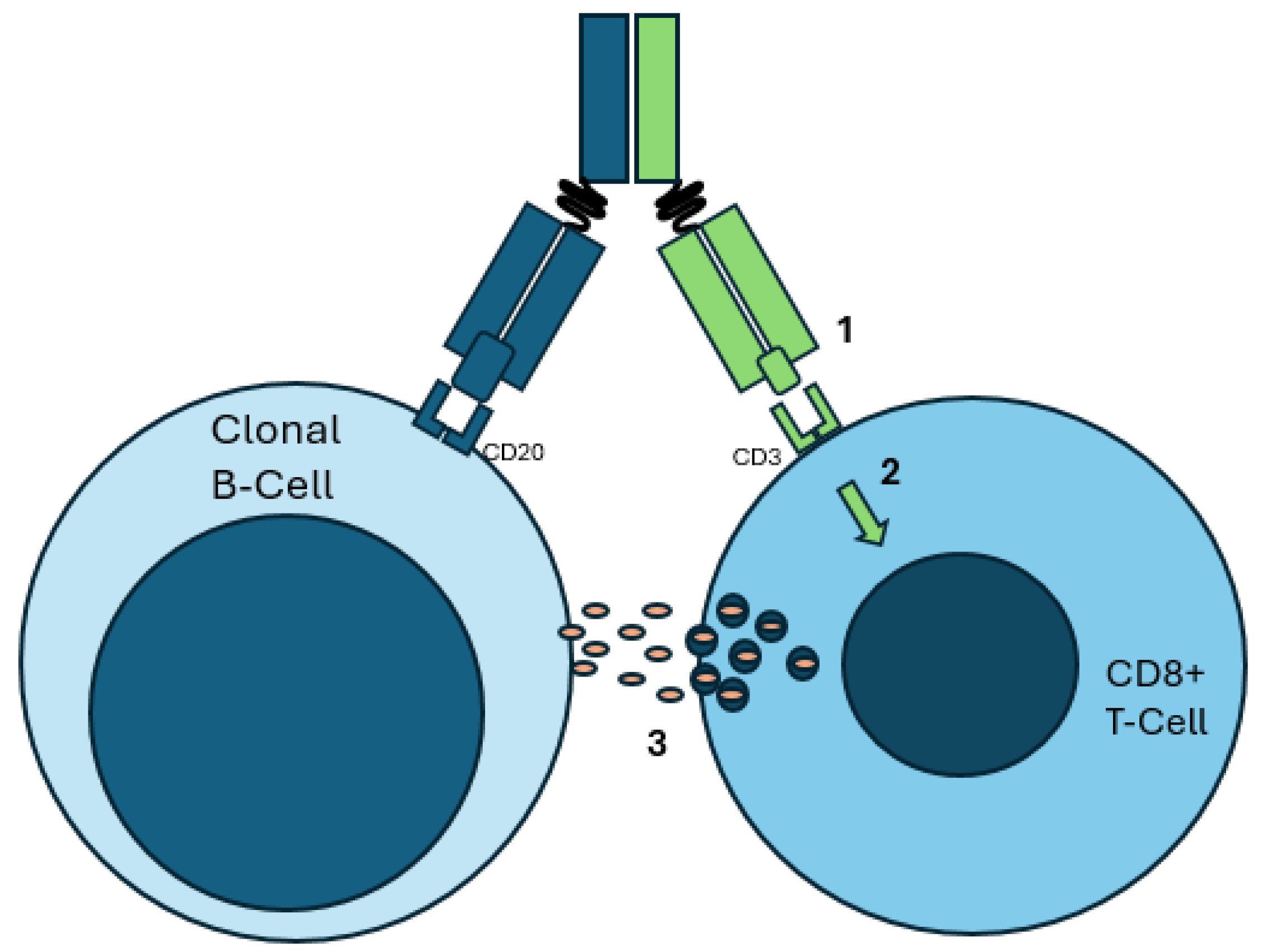 Ijms 26 01711 g004 Ijms 26 01711 g004