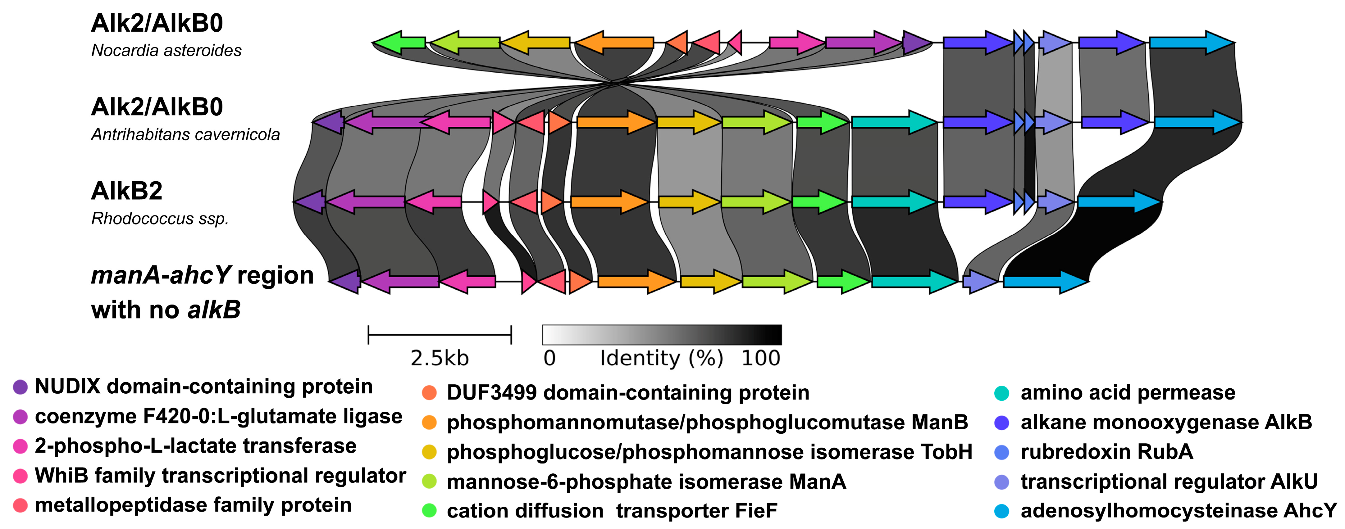Ijms 26 01713 g003 Ijms 26 01713 g003