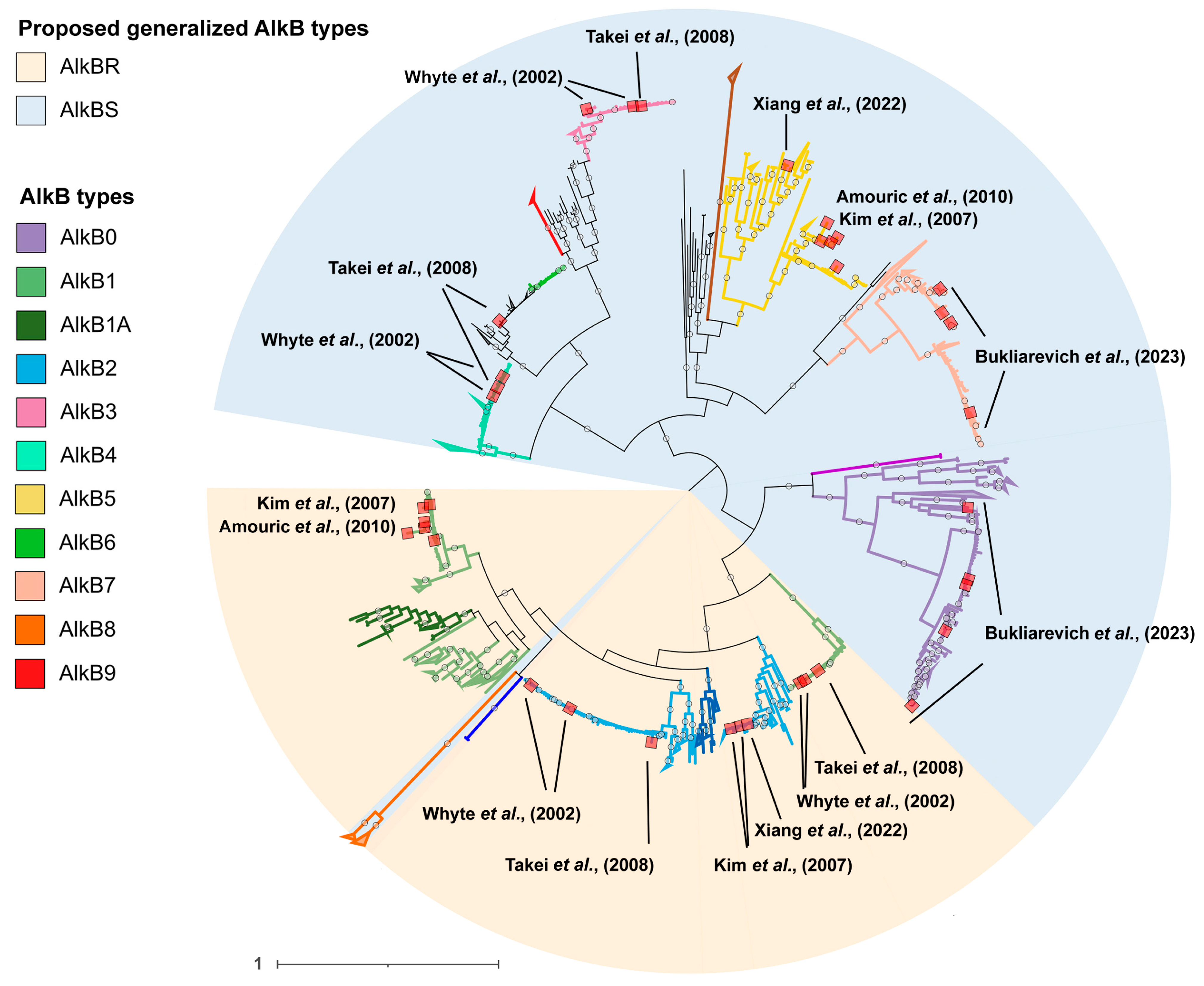 Ijms 26 01713 g005 Ijms 26 01713 g005