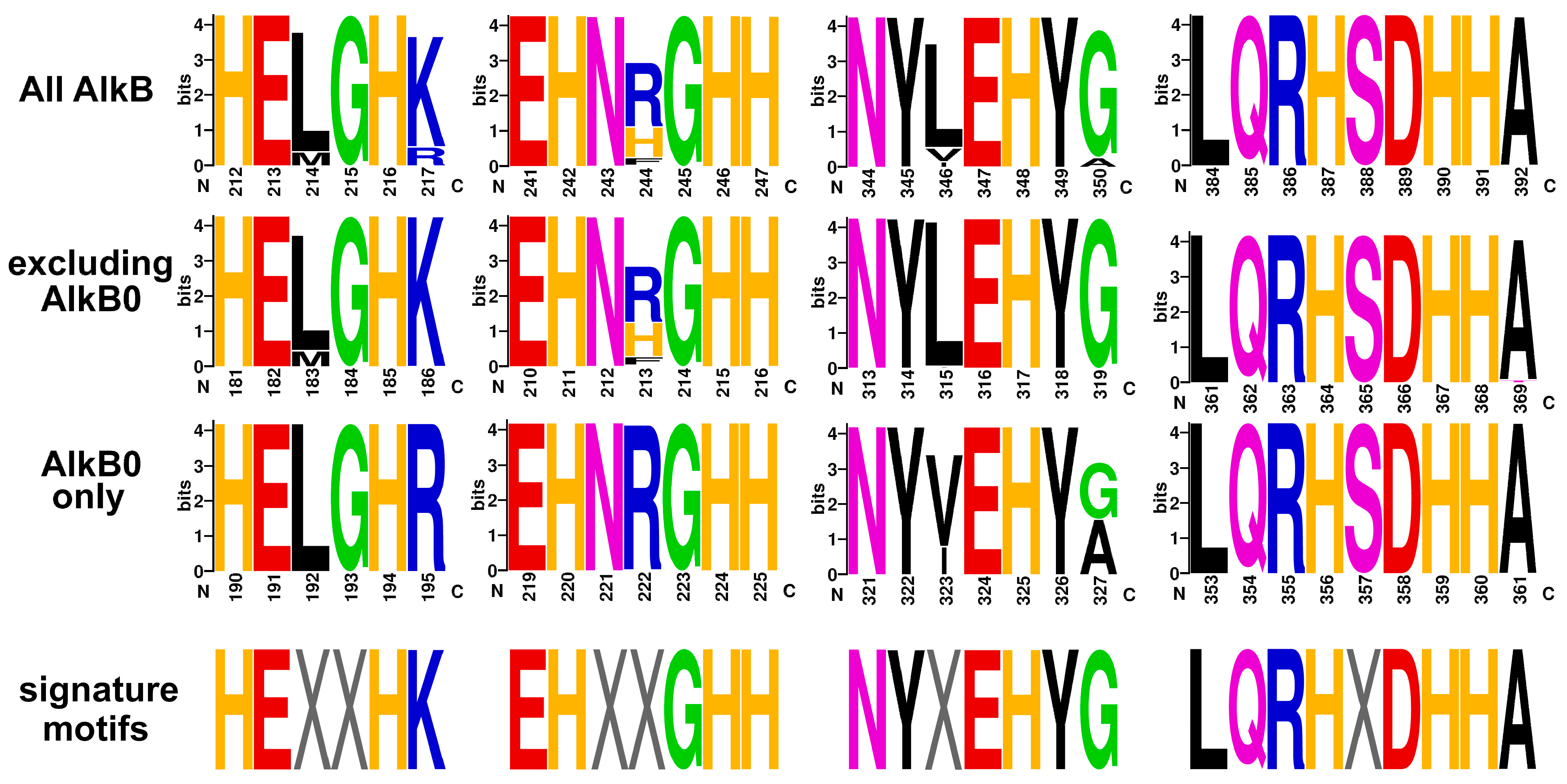 Ijms 26 01713 g006 Ijms 26 01713 g006