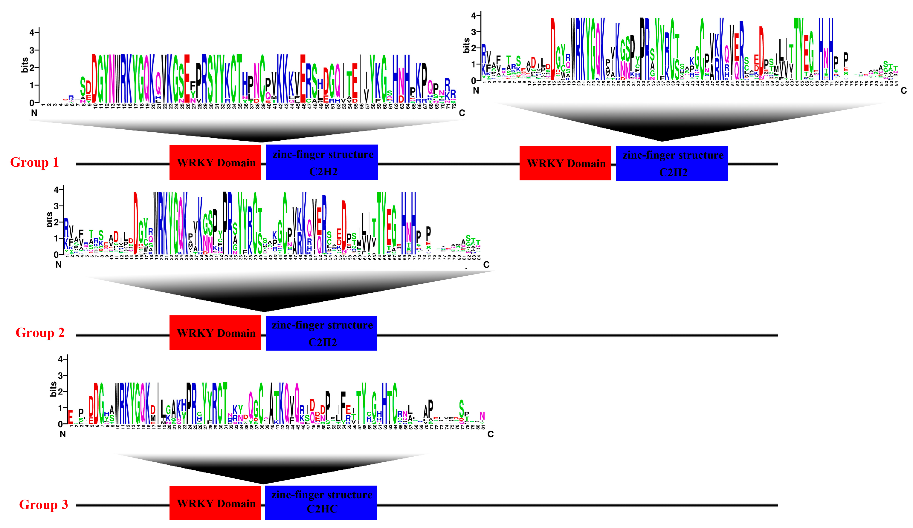 Yu Nitrogen and Phosphorus Absorption and Yield of Tomato