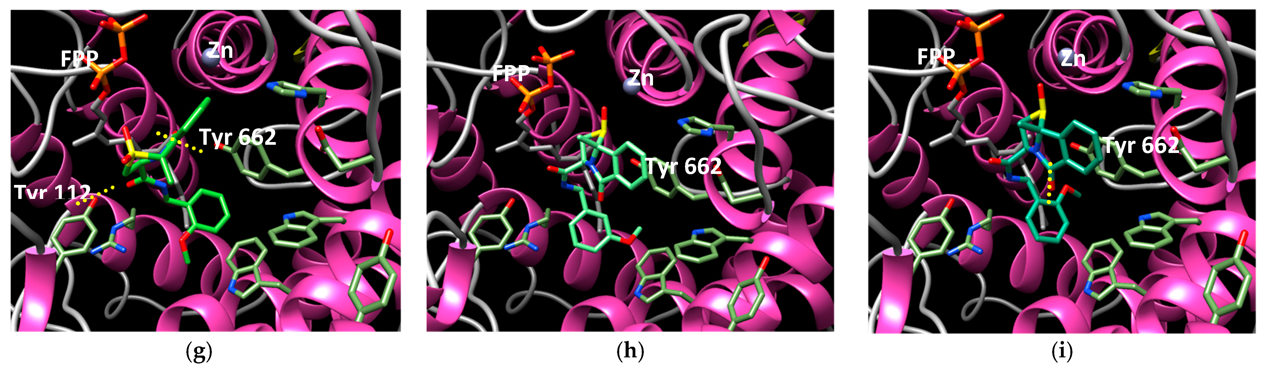 Ijms 26 01717 g006b Ijms 26 01717 g006b