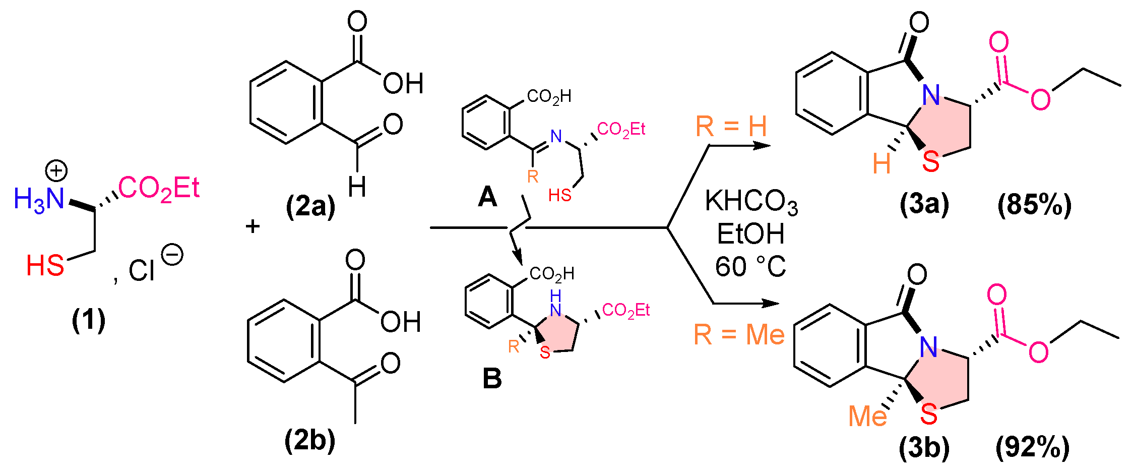 Ijms 26 01717 sch001 Ijms 26 01717 sch001
