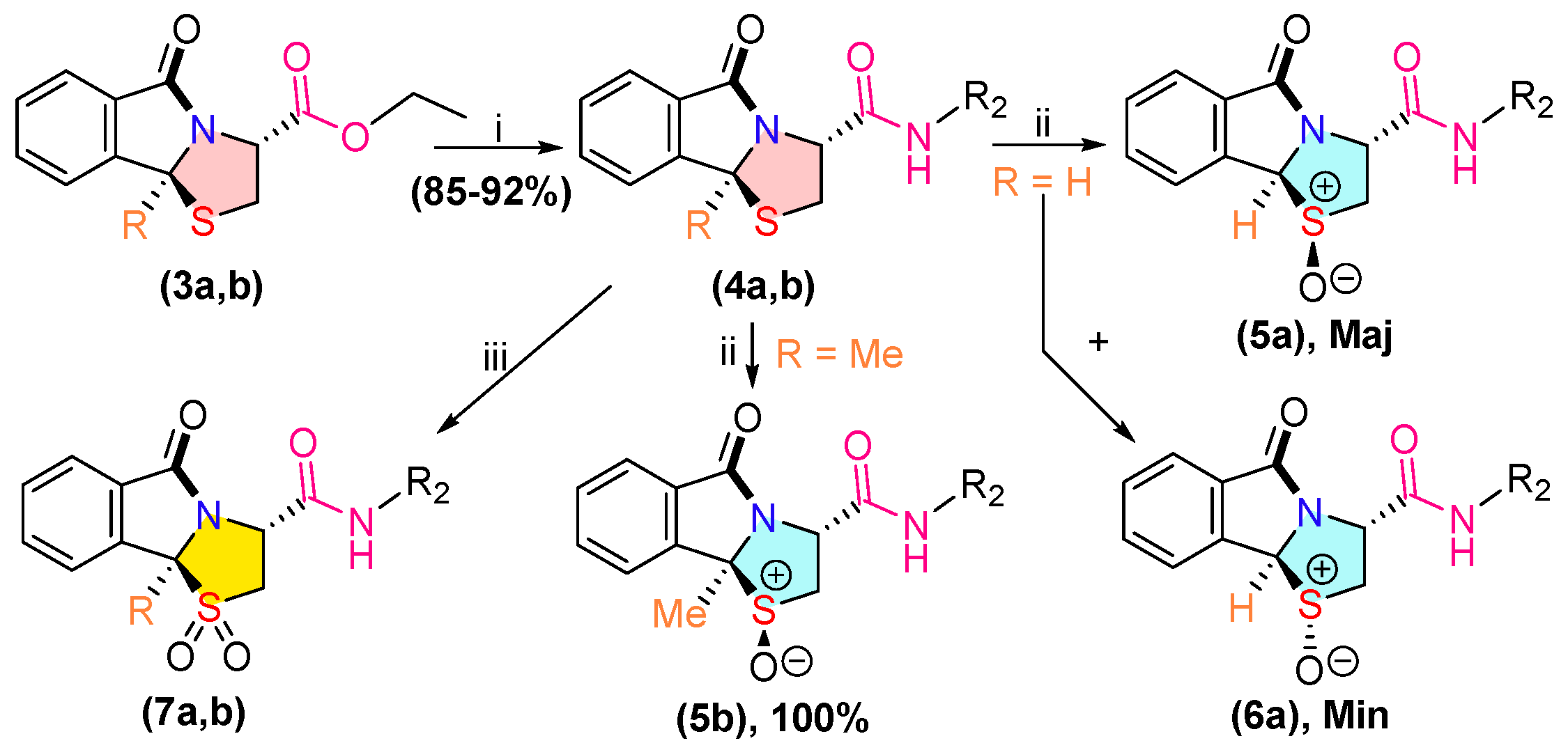 Ijms 26 01717 sch002 Ijms 26 01717 sch002