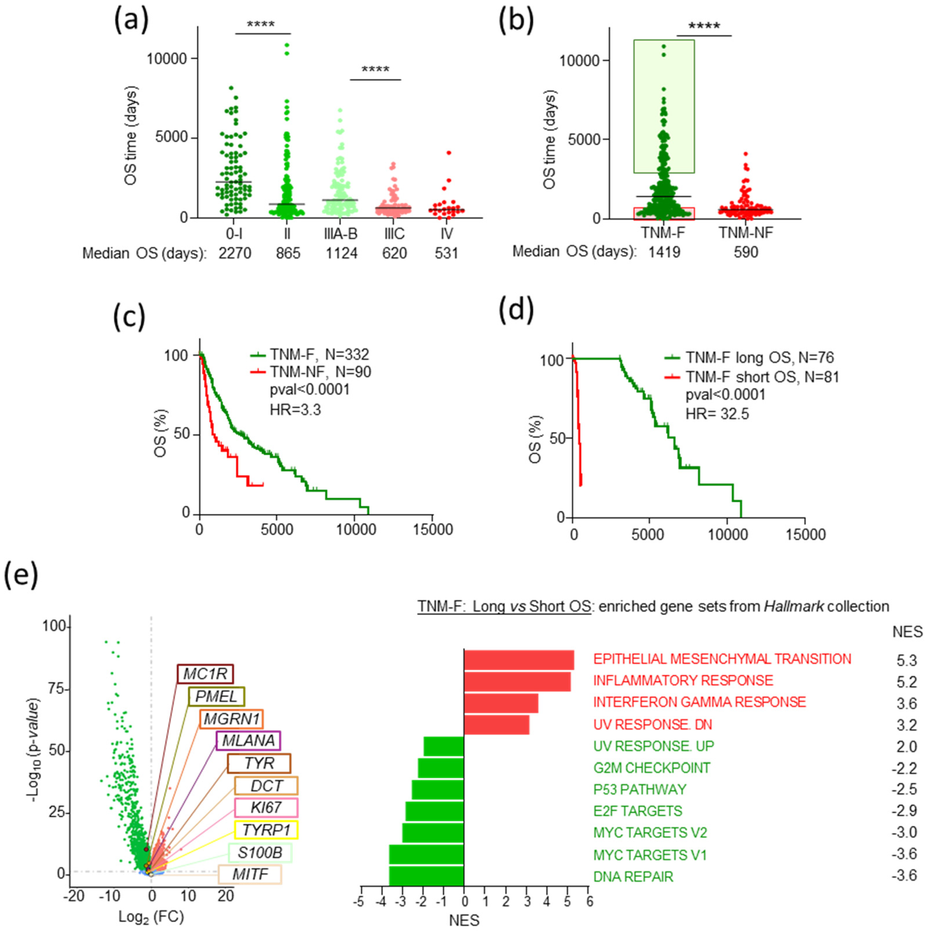 Ijms 26 01739 g001 Ijms 26 01739 g001