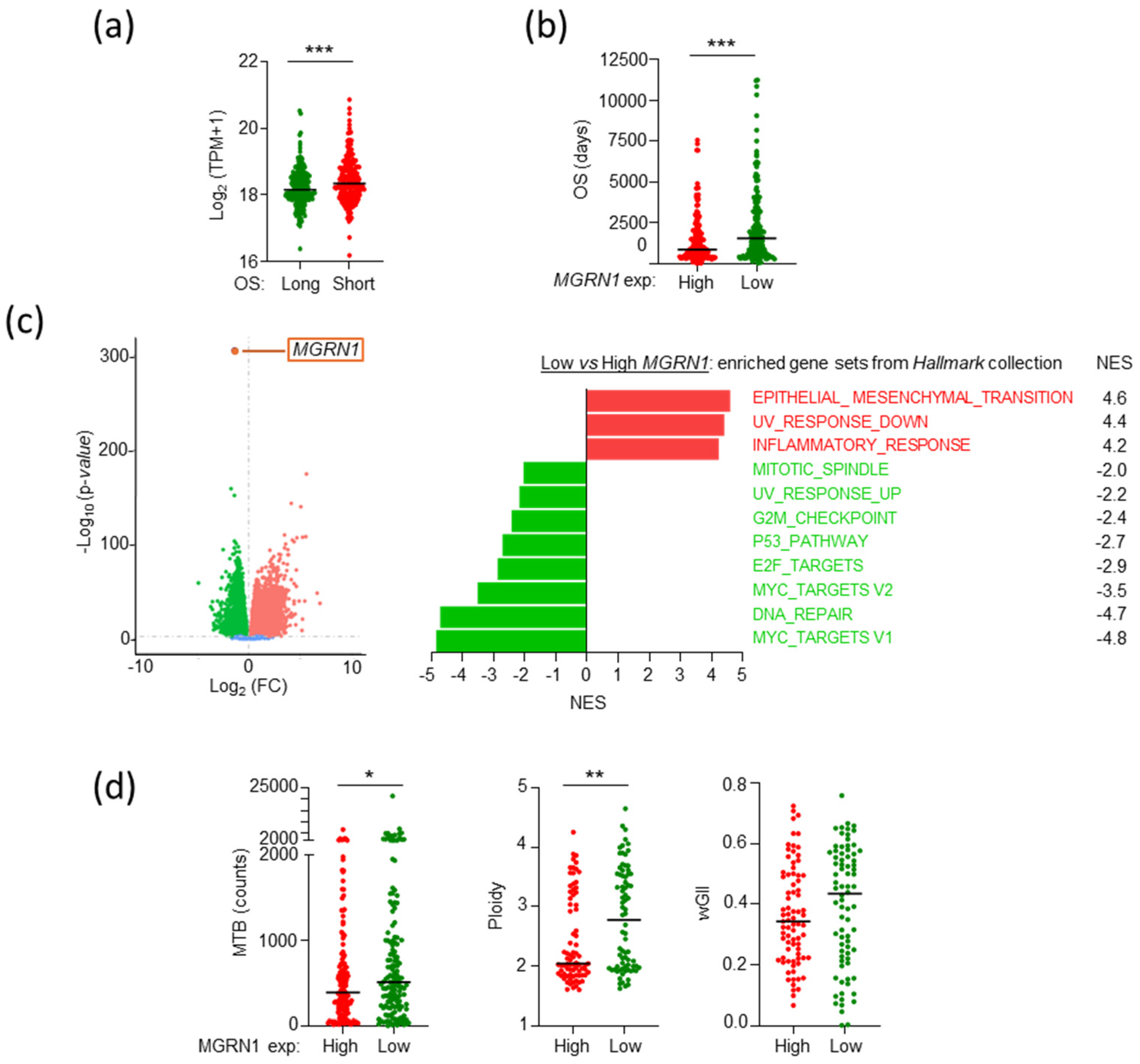 Ijms 26 01739 g003 Ijms 26 01739 g003