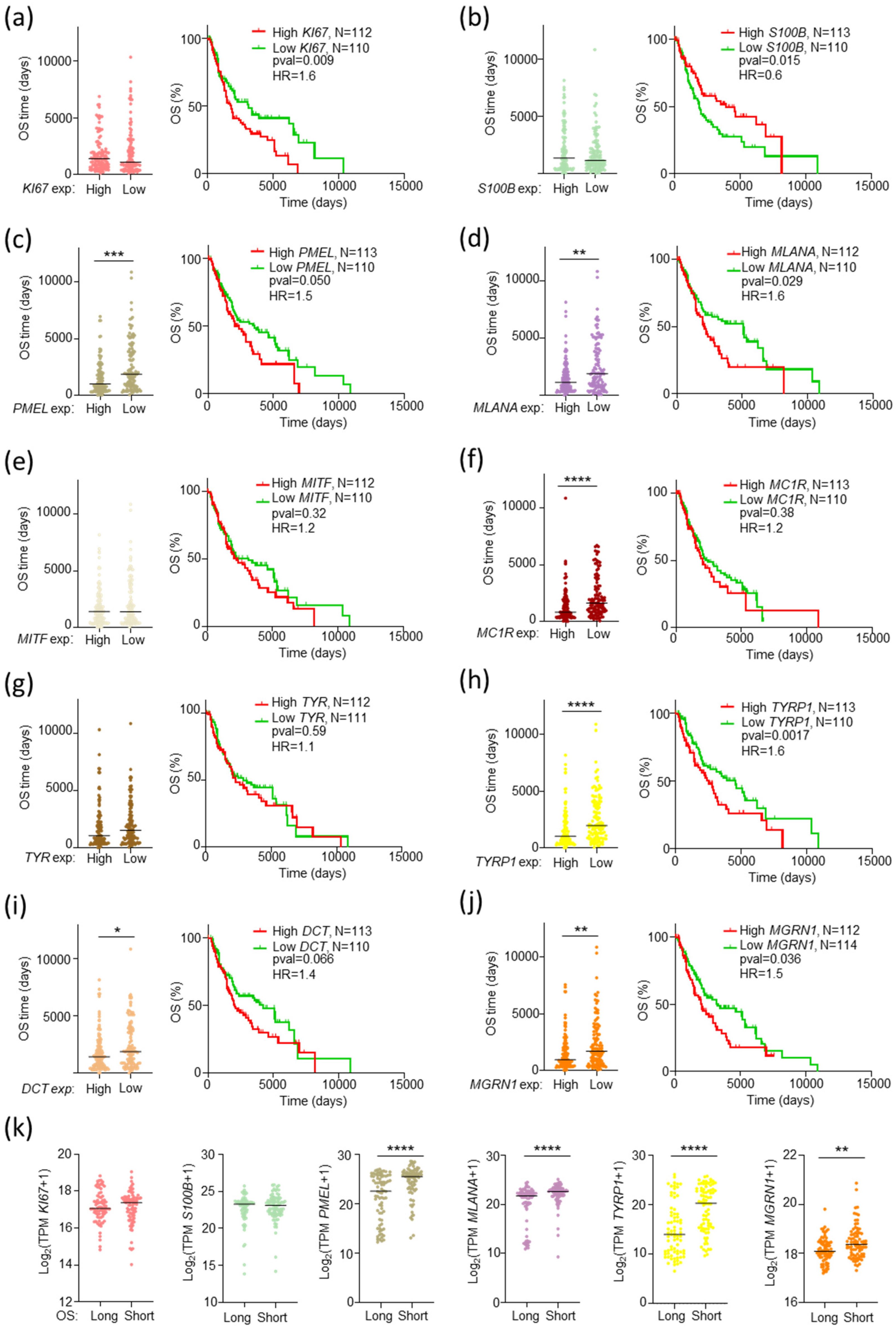 Ijms 26 01739 g005 Ijms 26 01739 g005