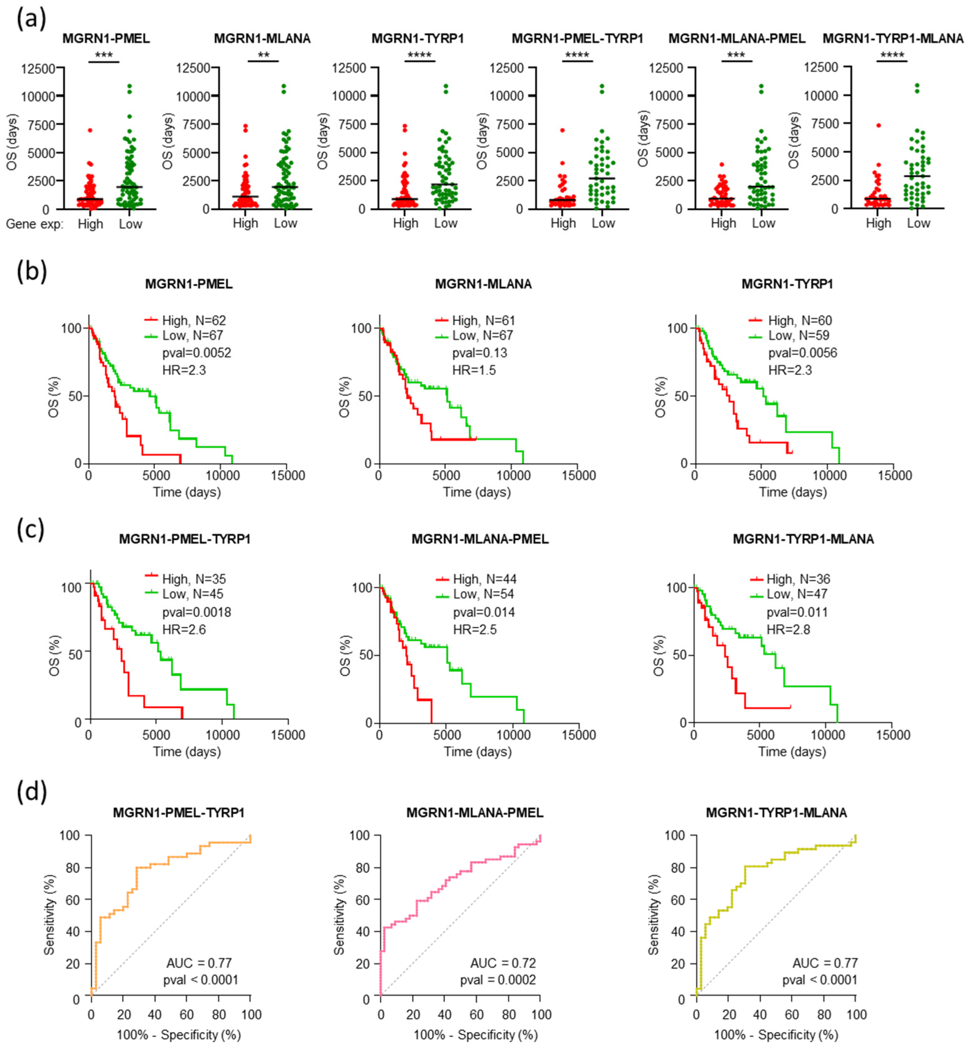 Ijms 26 01739 g006 Ijms 26 01739 g006