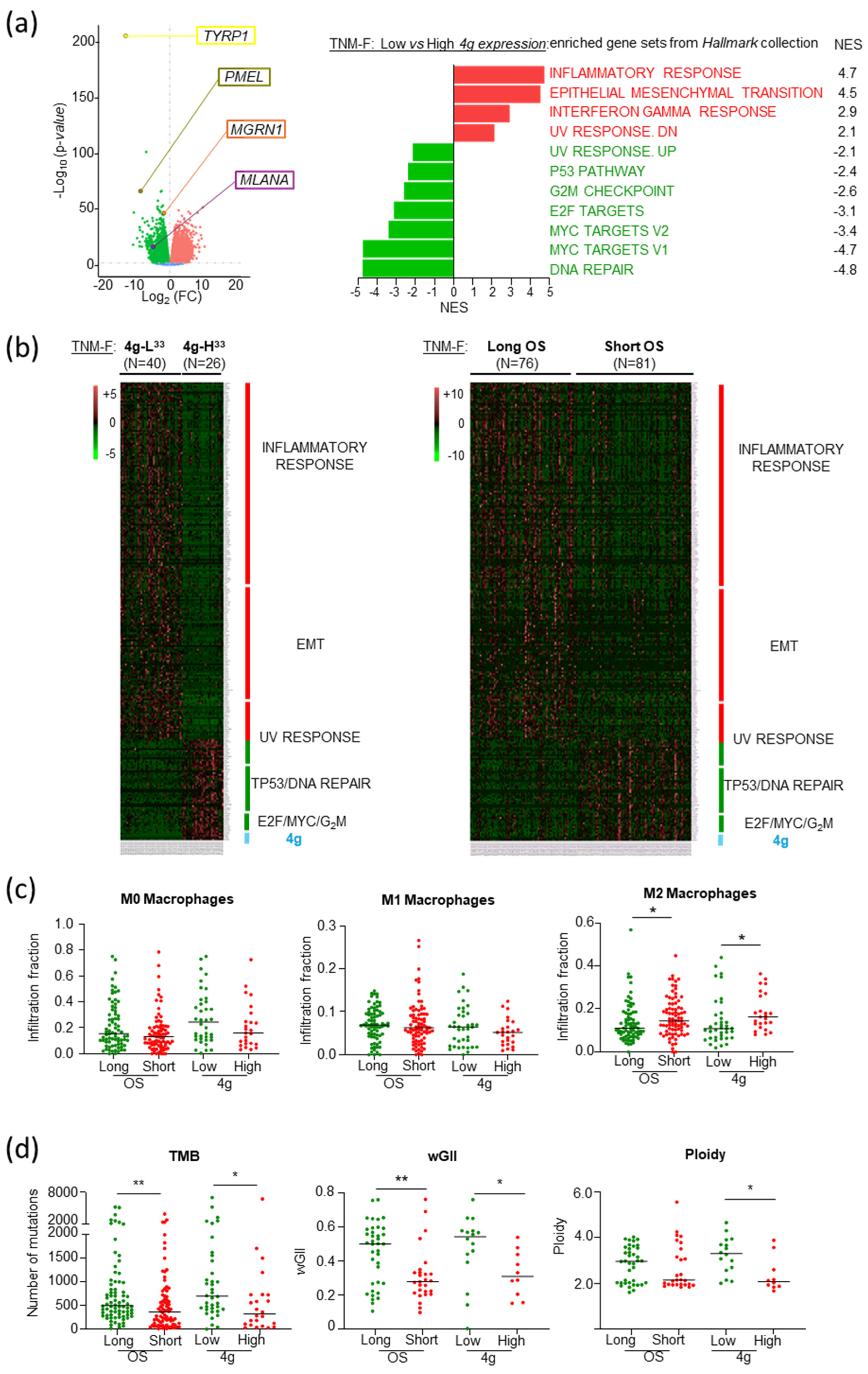 Ijms 26 01739 g008 Ijms 26 01739 g008