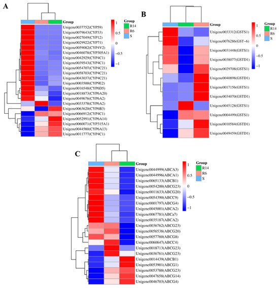 Integrative Analysis of Transcriptomics and Proteomics for