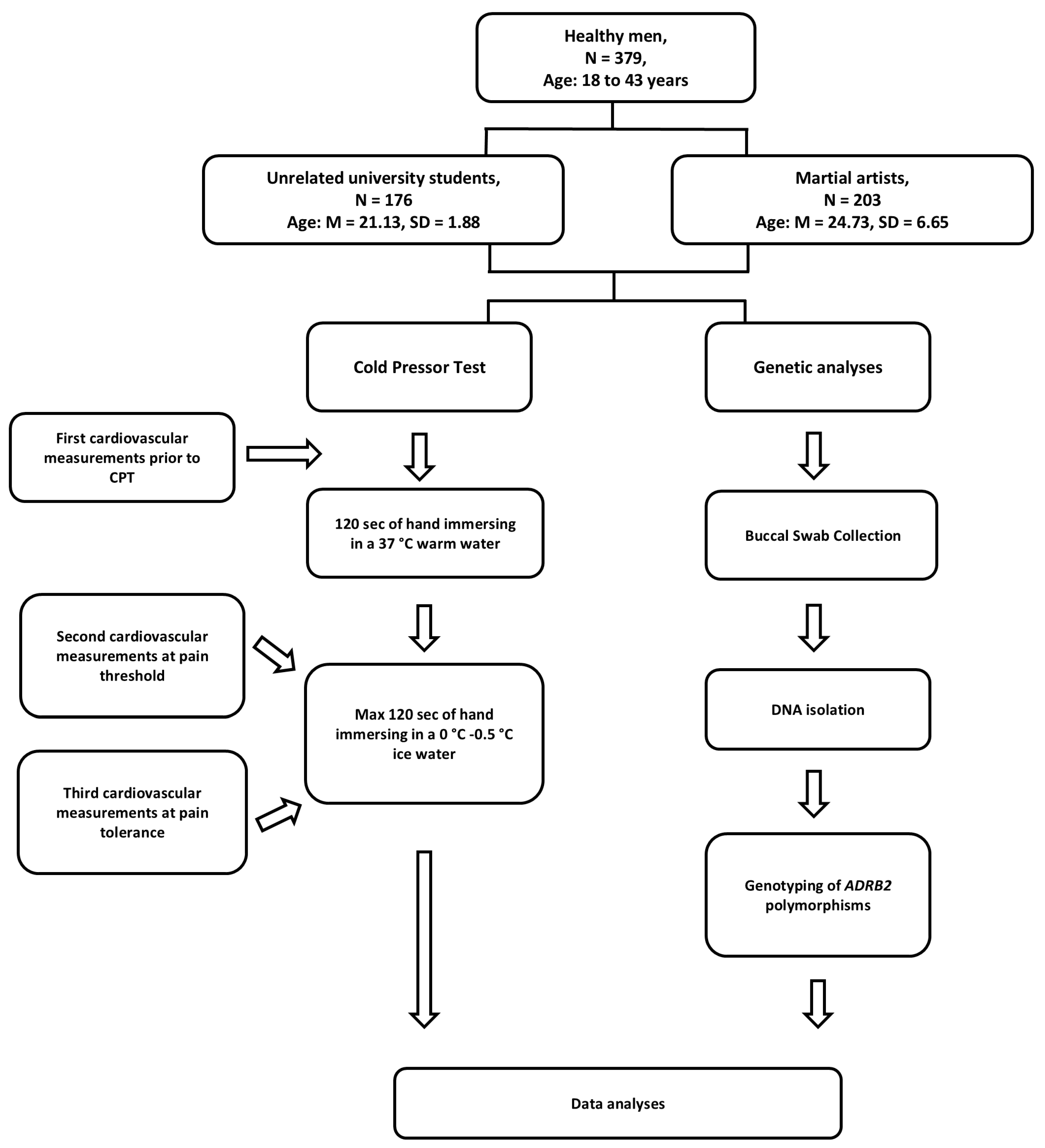 Ijms 26 01765 g005 Ijms 26 01765 g005