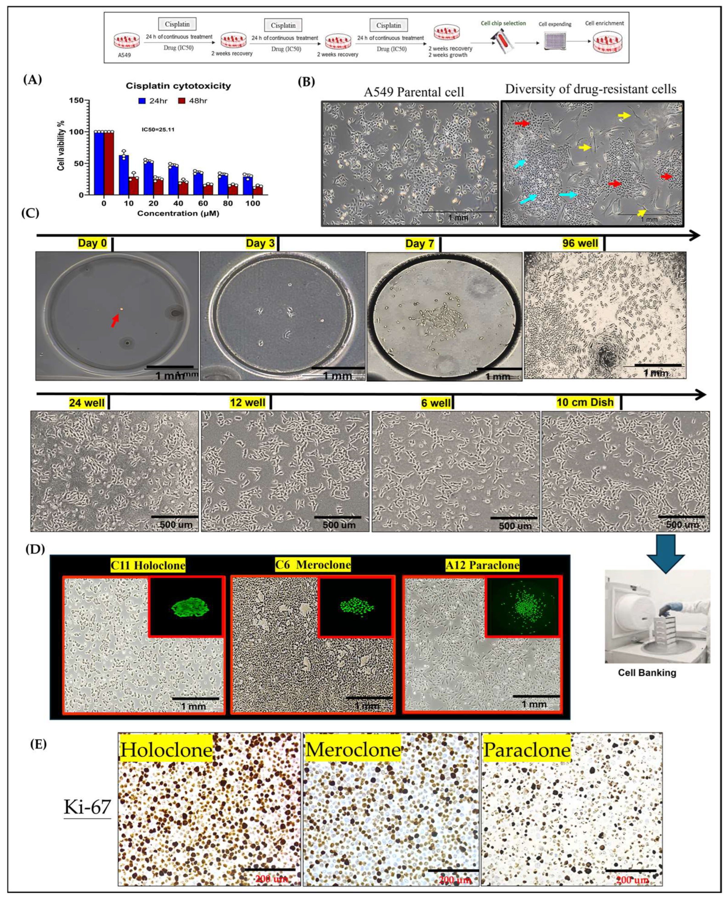 Full article: Integrated application of selenium and silica reduce arsenic  accumulation and enhance the level of metabolites in rice grains