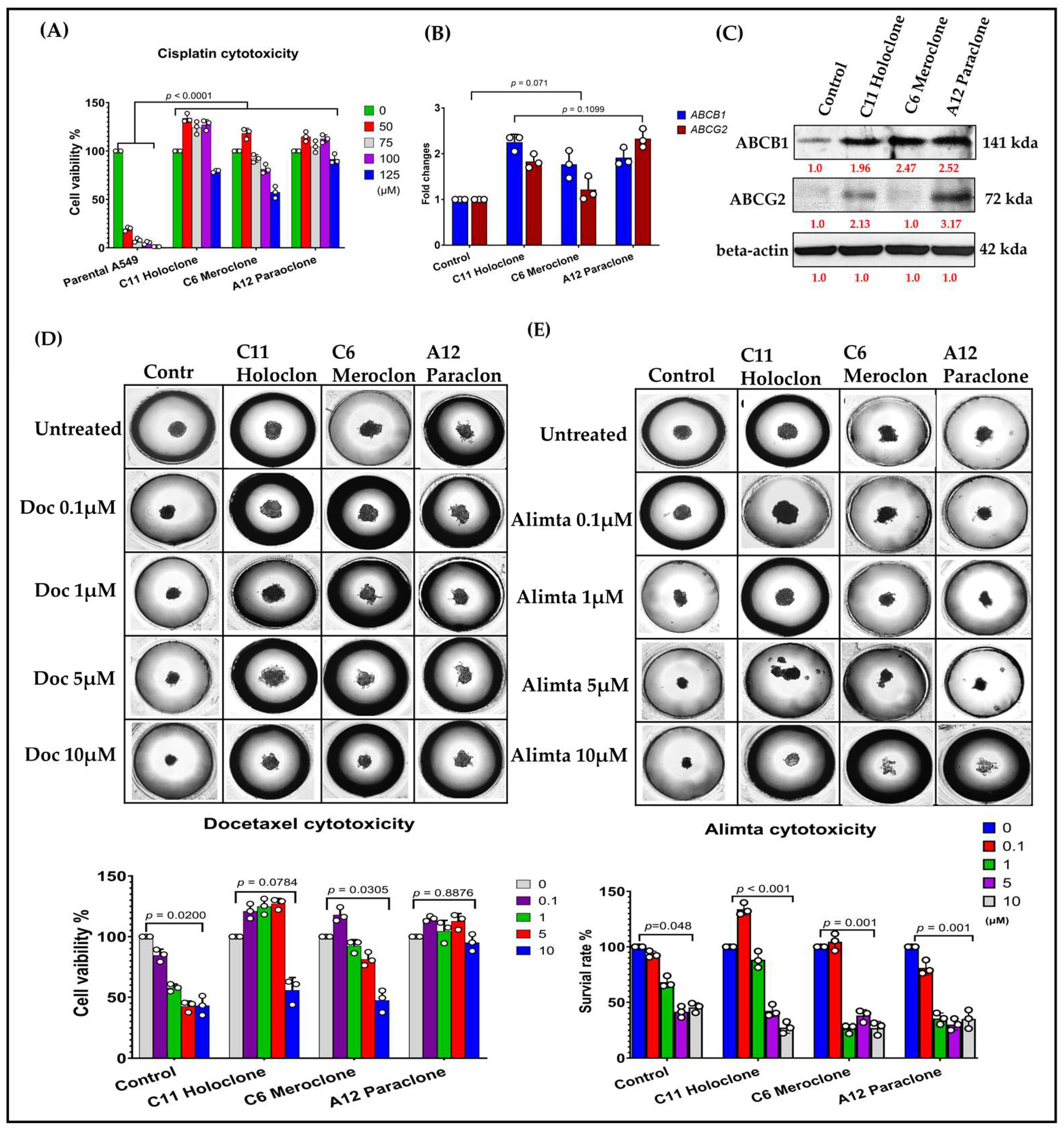 Application of an Integrated Single-Cell and Three