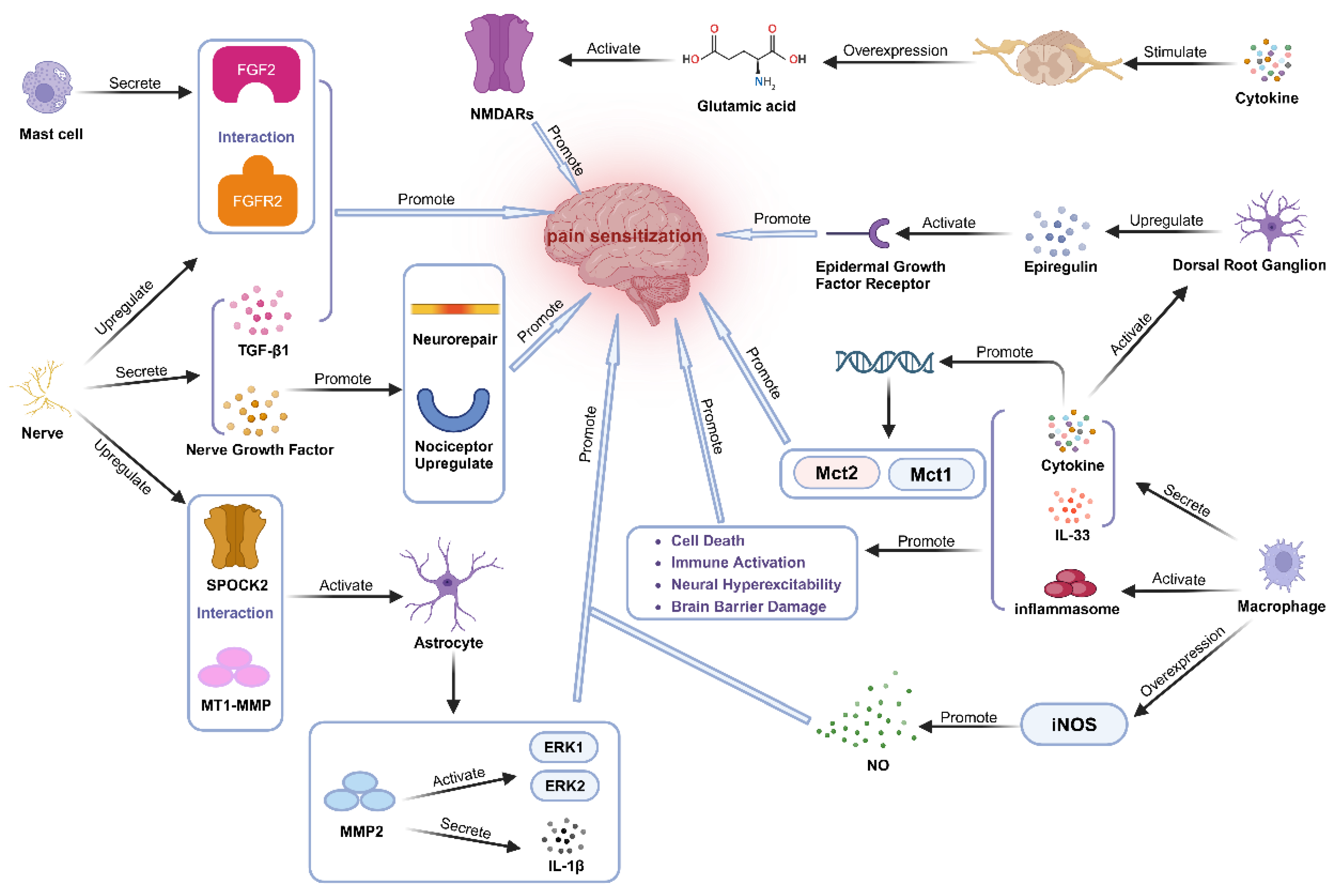 Unveiling the Mechanisms of Pain in Endometriosis