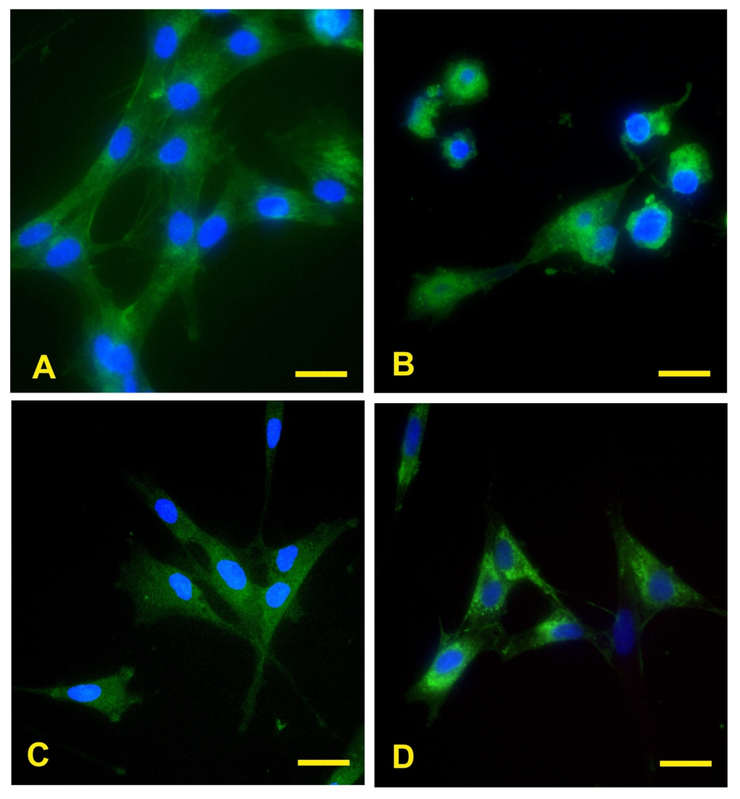 Ijms 26 01784 g003 Ijms 26 01784 g003