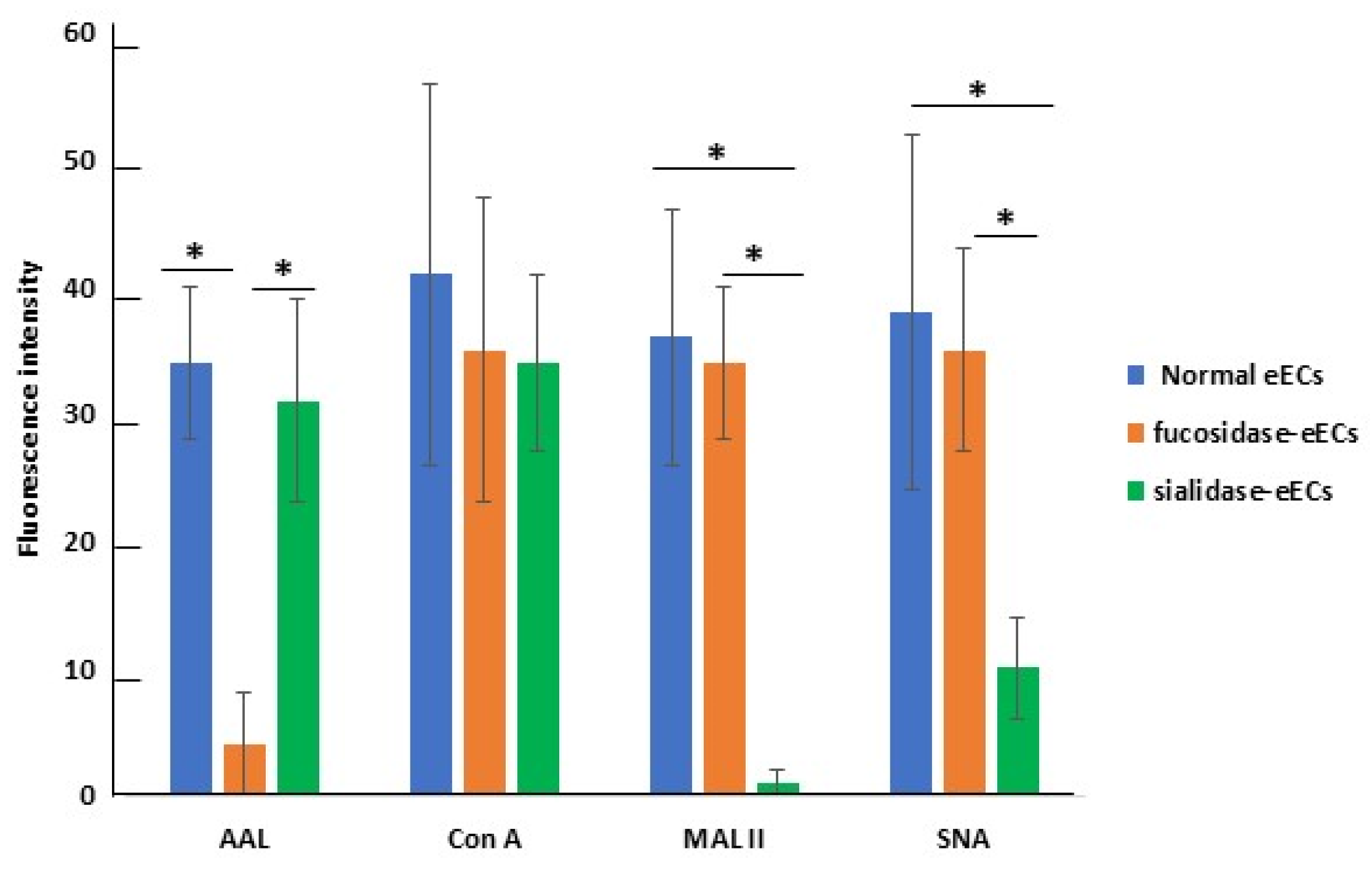 Ijms 26 01784 g005 Ijms 26 01784 g005