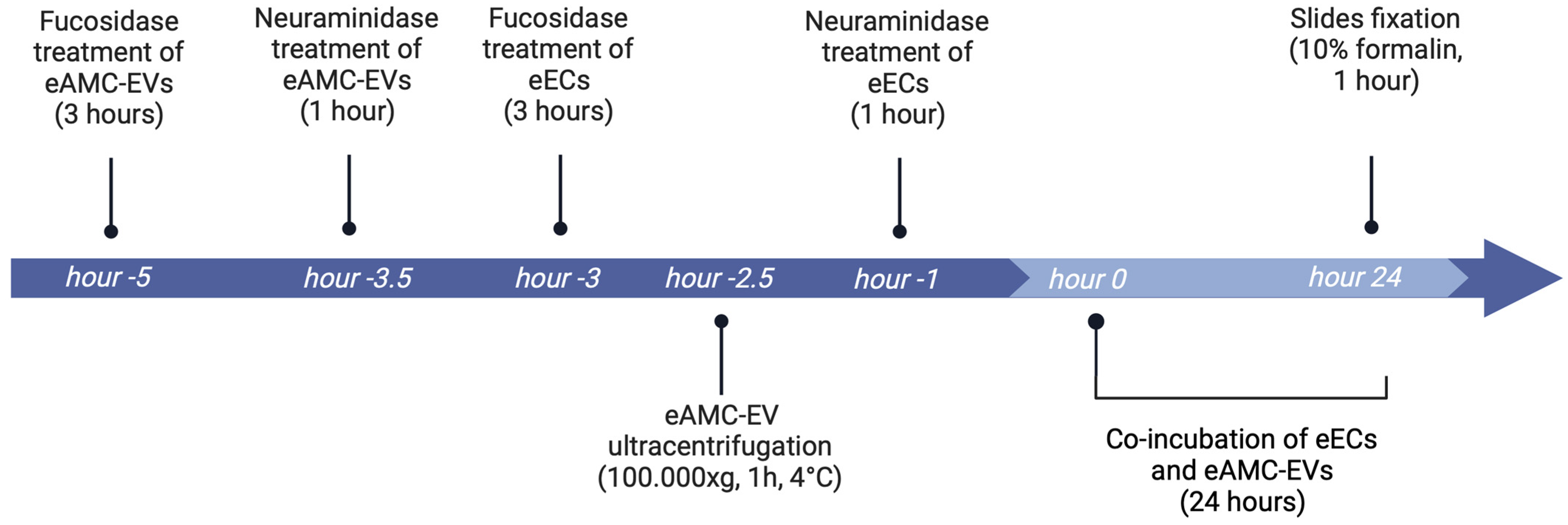 Ijms 26 01784 g009 Ijms 26 01784 g009