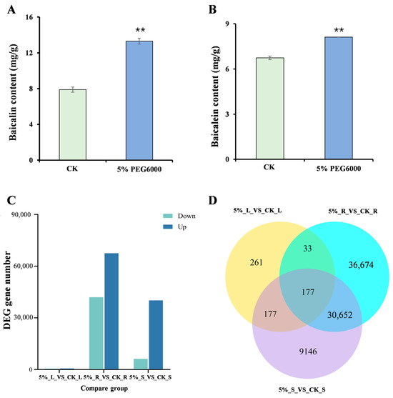 Functional Characterization of β-Glucuronidase Genes Functional Characterization of β-Glucuronidase Genes