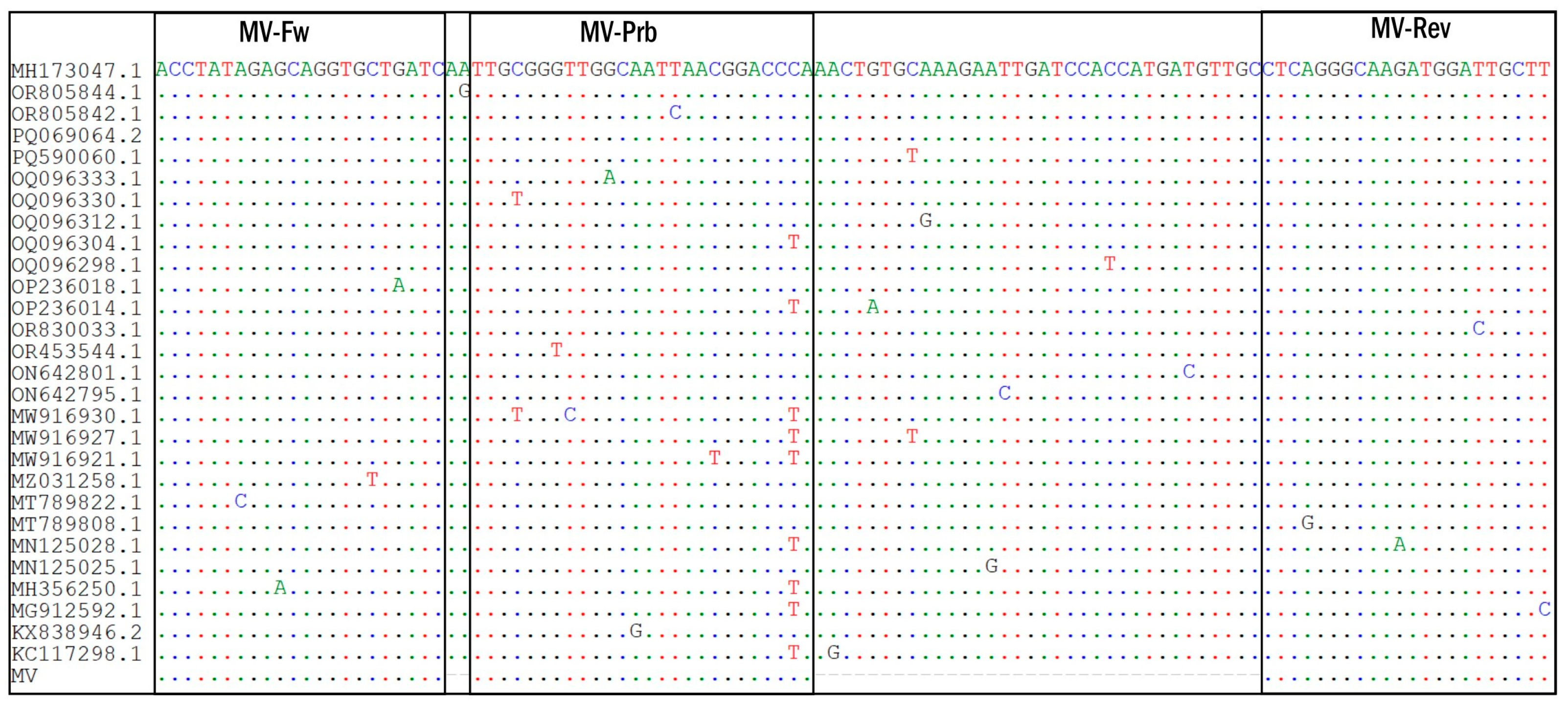 Ijms 26 01801 g001 Ijms 26 01801 g001