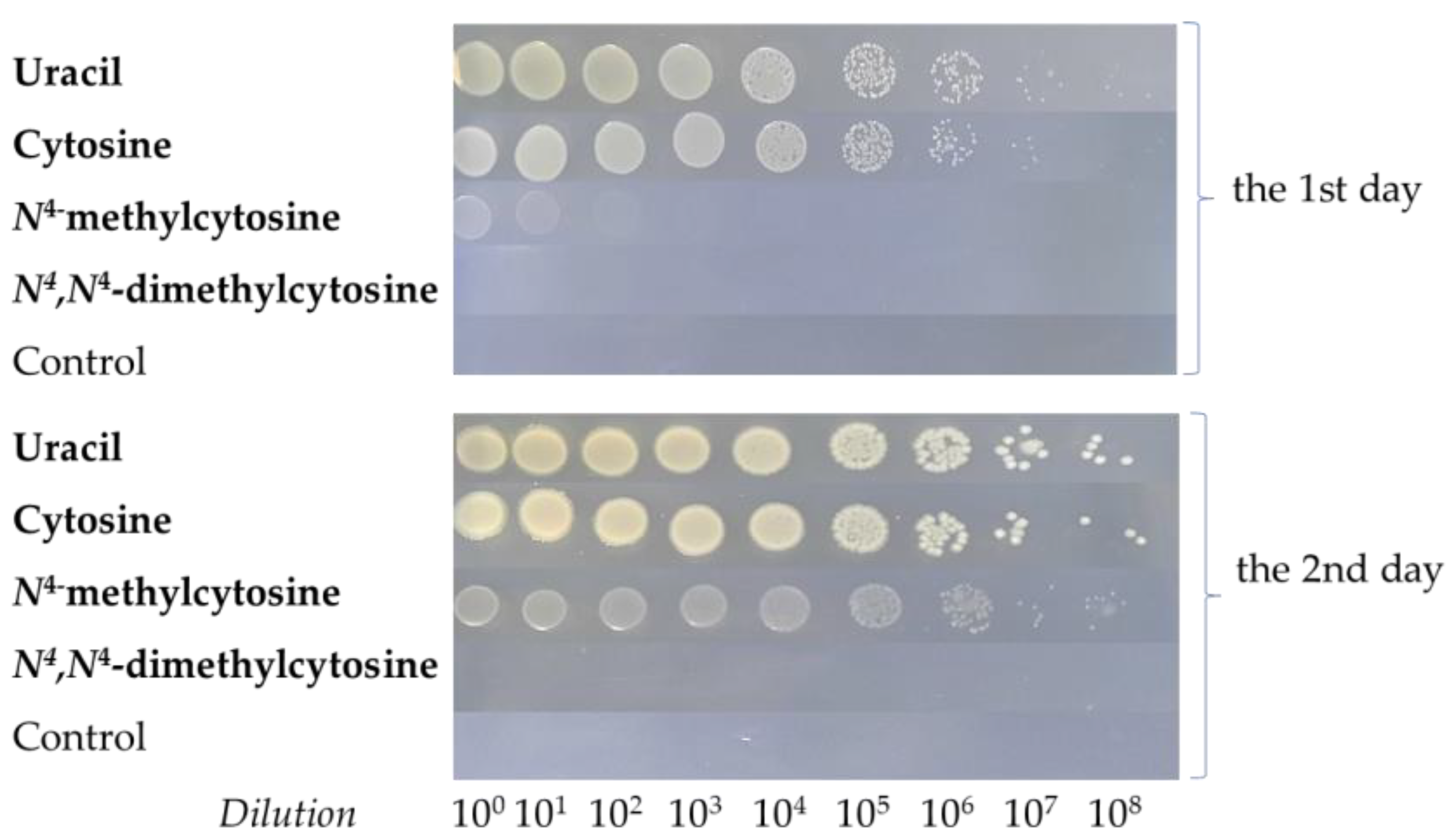 Ijms 26 01812 g002 Ijms 26 01812 g002