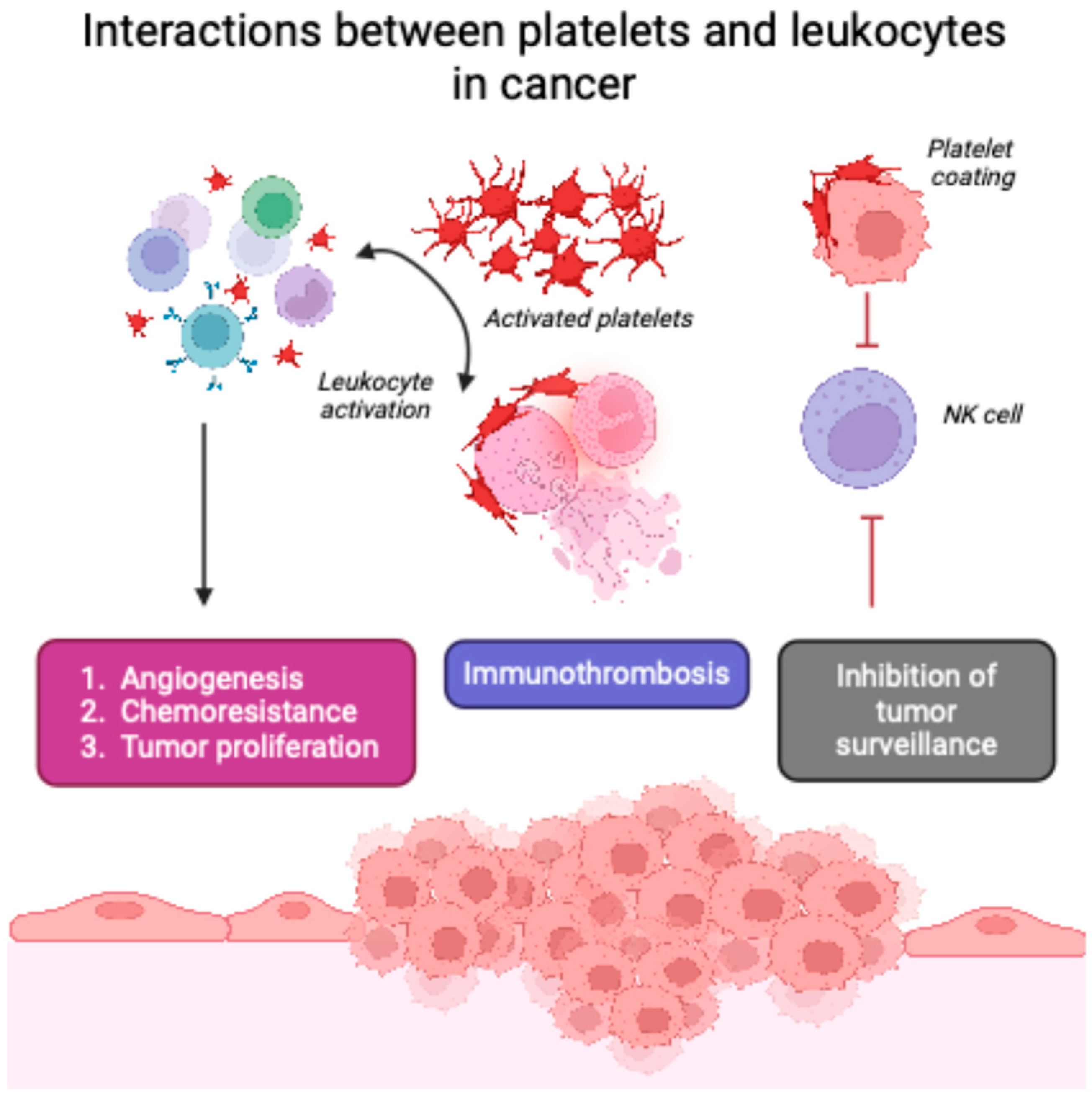 Ijms 26 01841 g001 Ijms 26 01841 g001