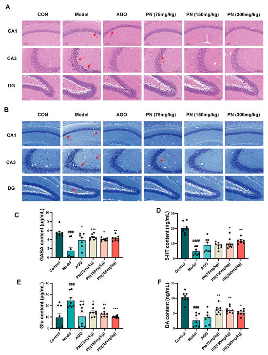 The Extract of Piper nigrum Improves the Cognitive Impairment and