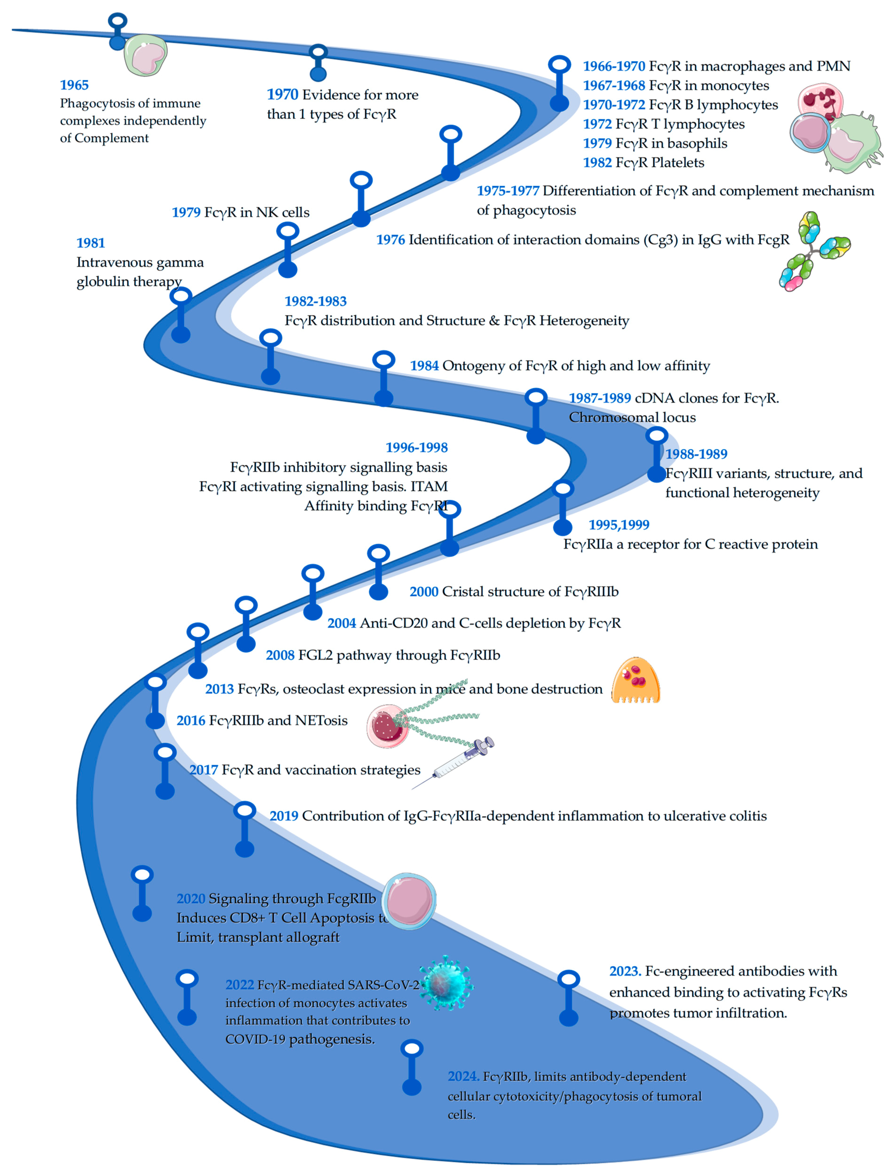 Ijms 26 01851 g001 Ijms 26 01851 g001