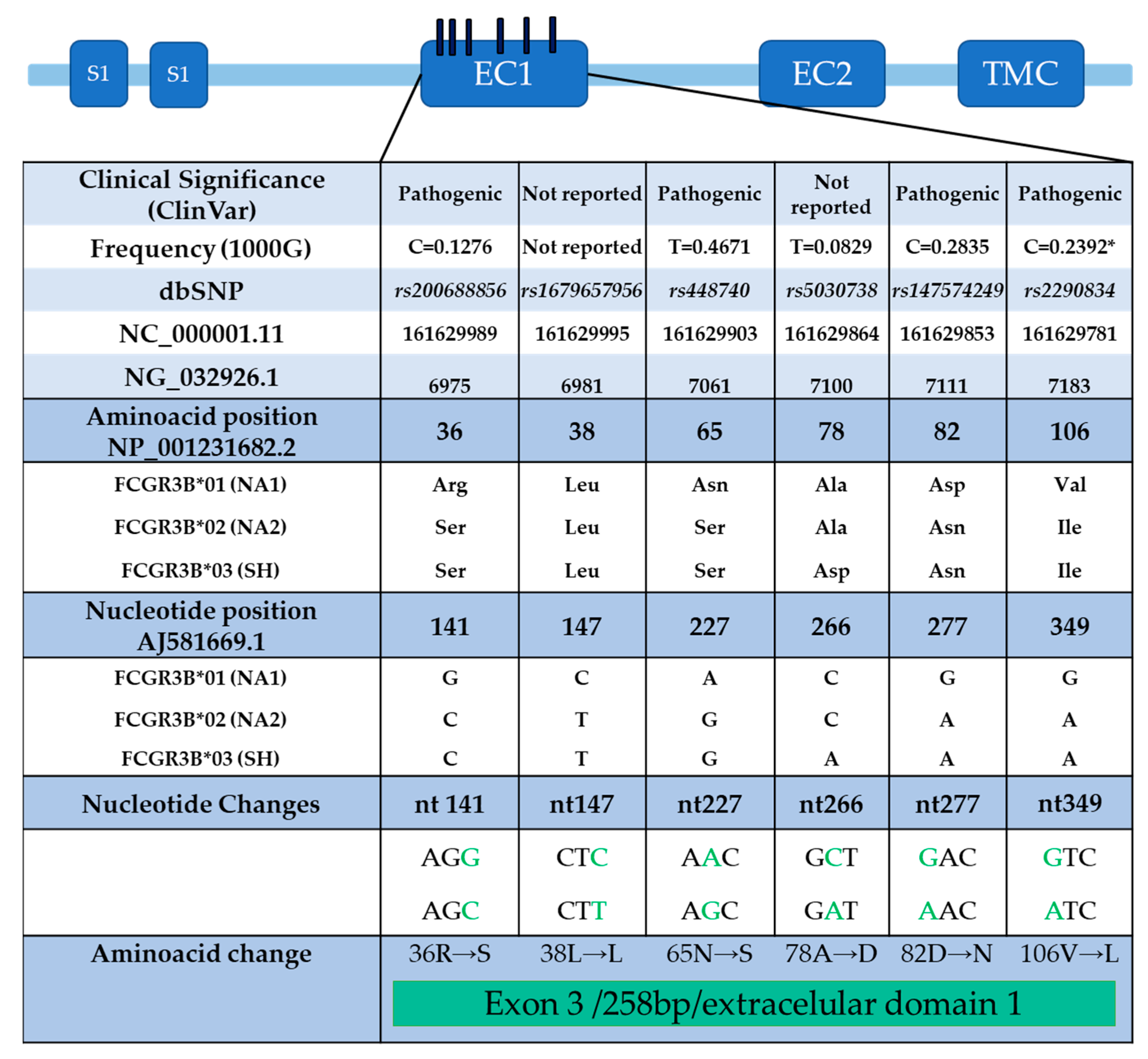 Ijms 26 01851 g003 Ijms 26 01851 g003