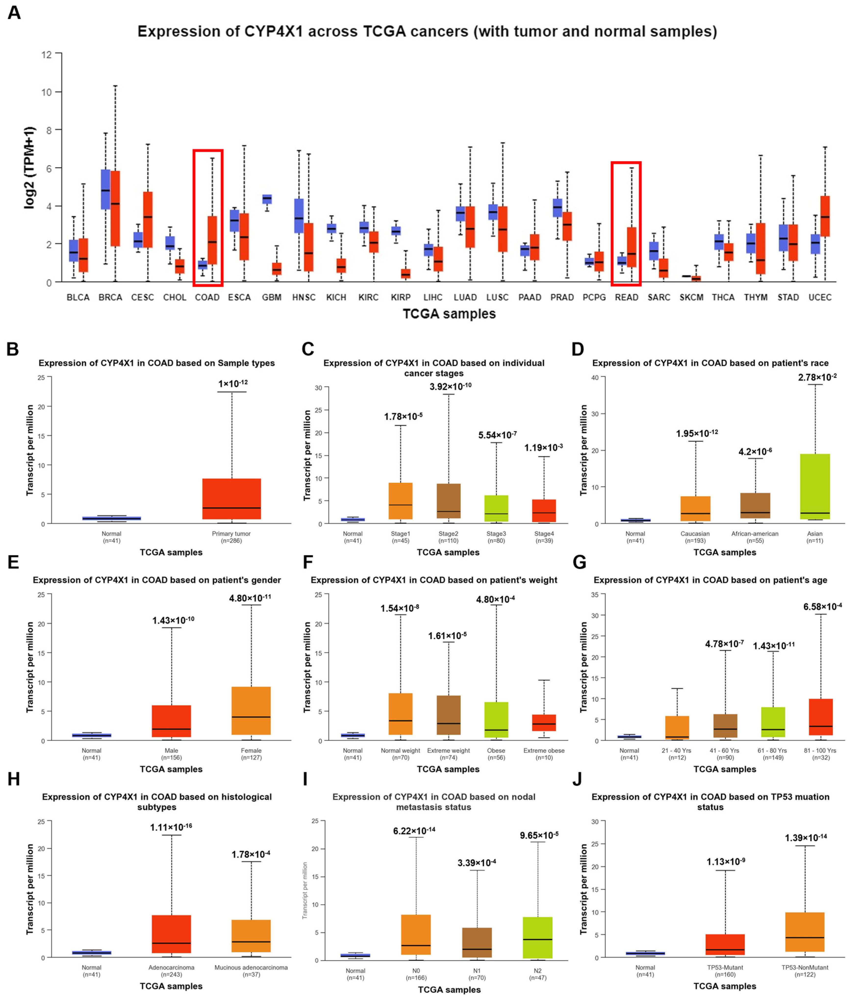 Ijms 26 01867 g001 Ijms 26 01867 g001