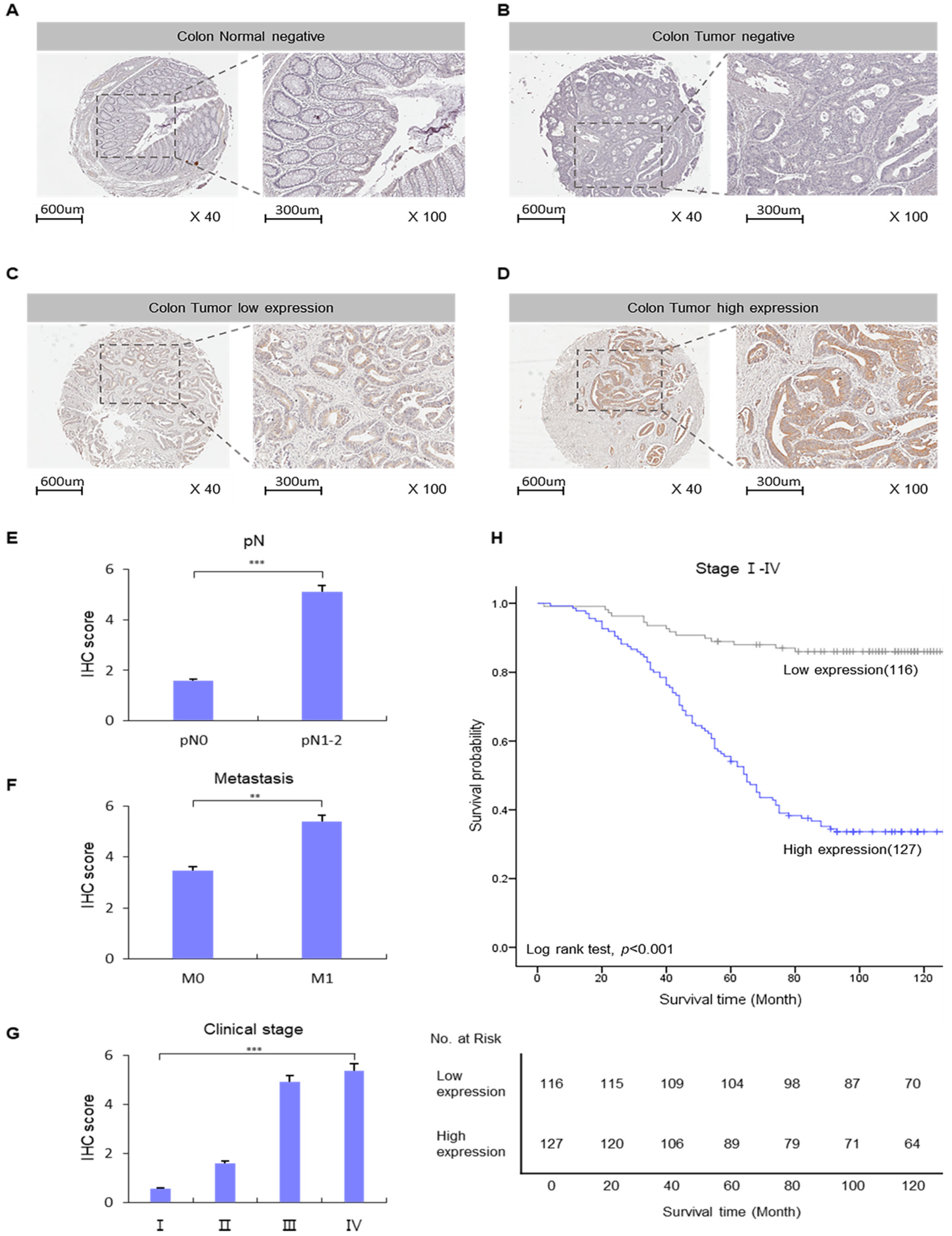 Ijms 26 01867 g002 Ijms 26 01867 g002
