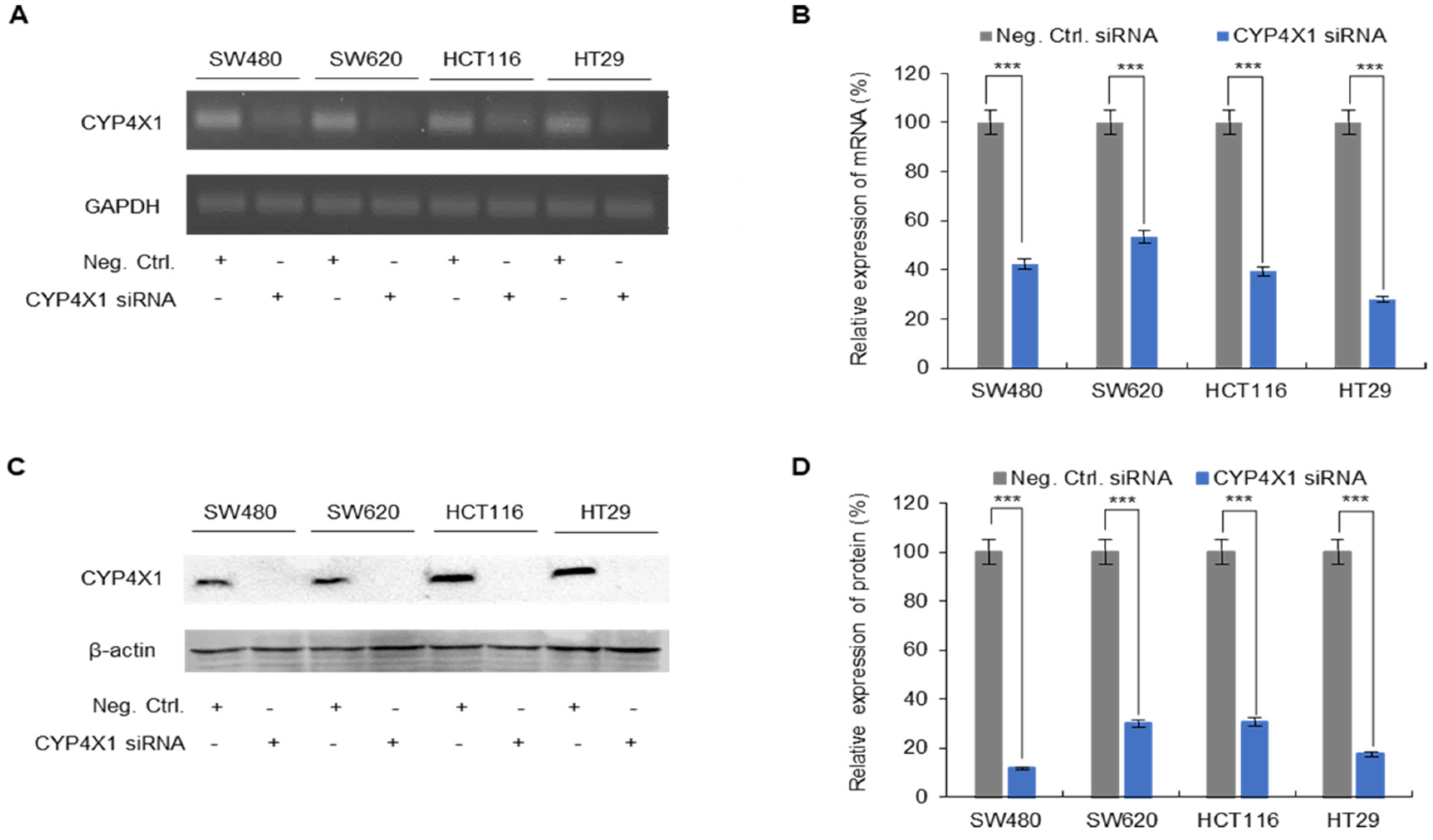 Ijms 26 01867 g003 Ijms 26 01867 g003