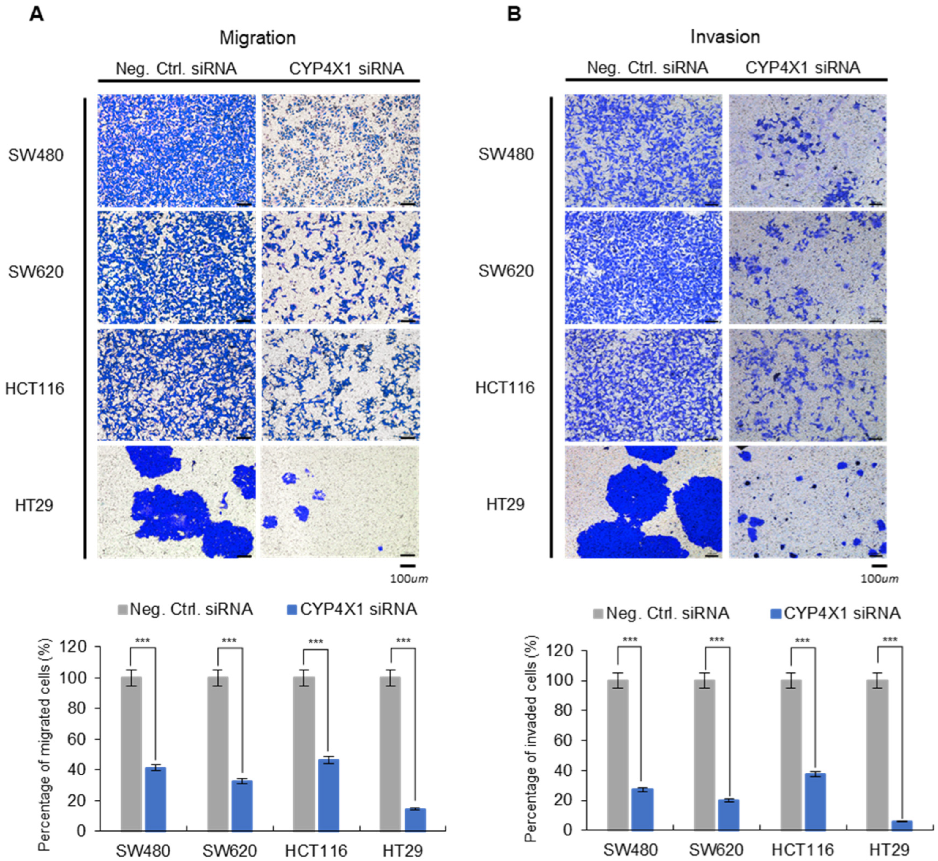 Ijms 26 01867 g005 Ijms 26 01867 g005