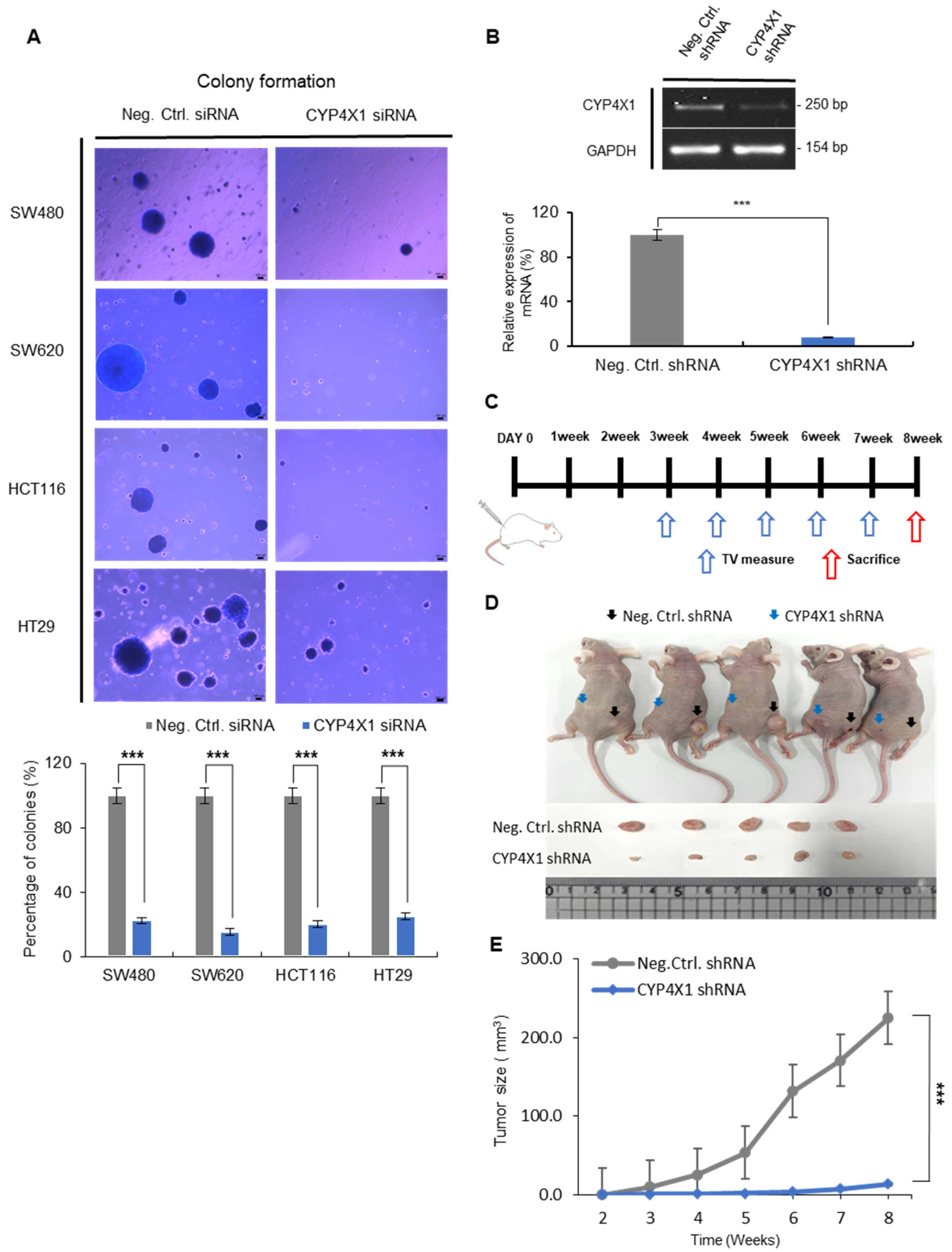 Ijms 26 01867 g006 Ijms 26 01867 g006